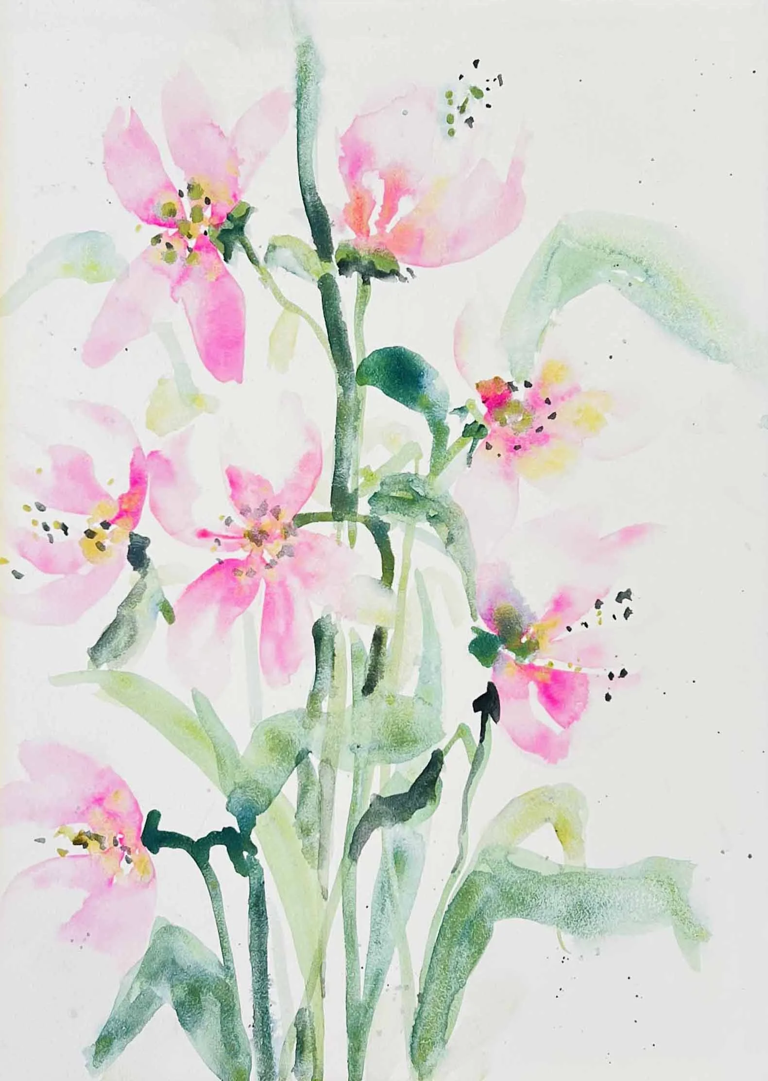 Delicate Pink Petals.jpg