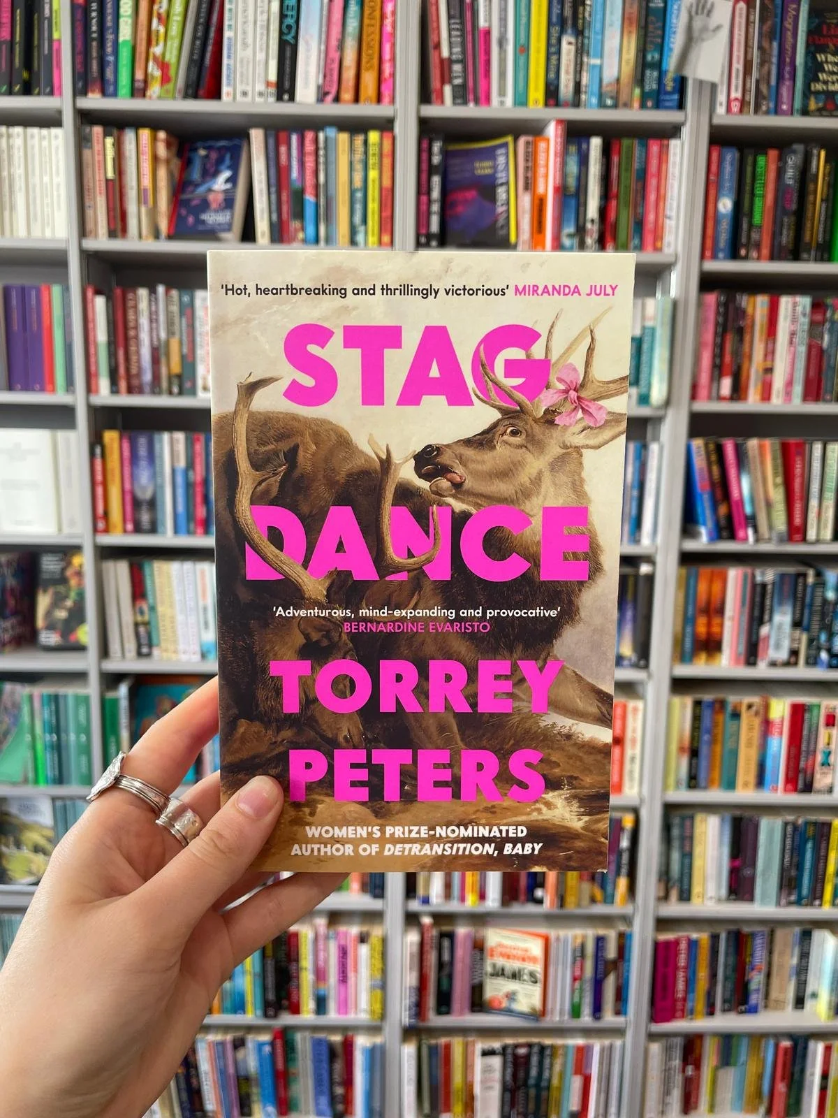 stagdance.jpg
