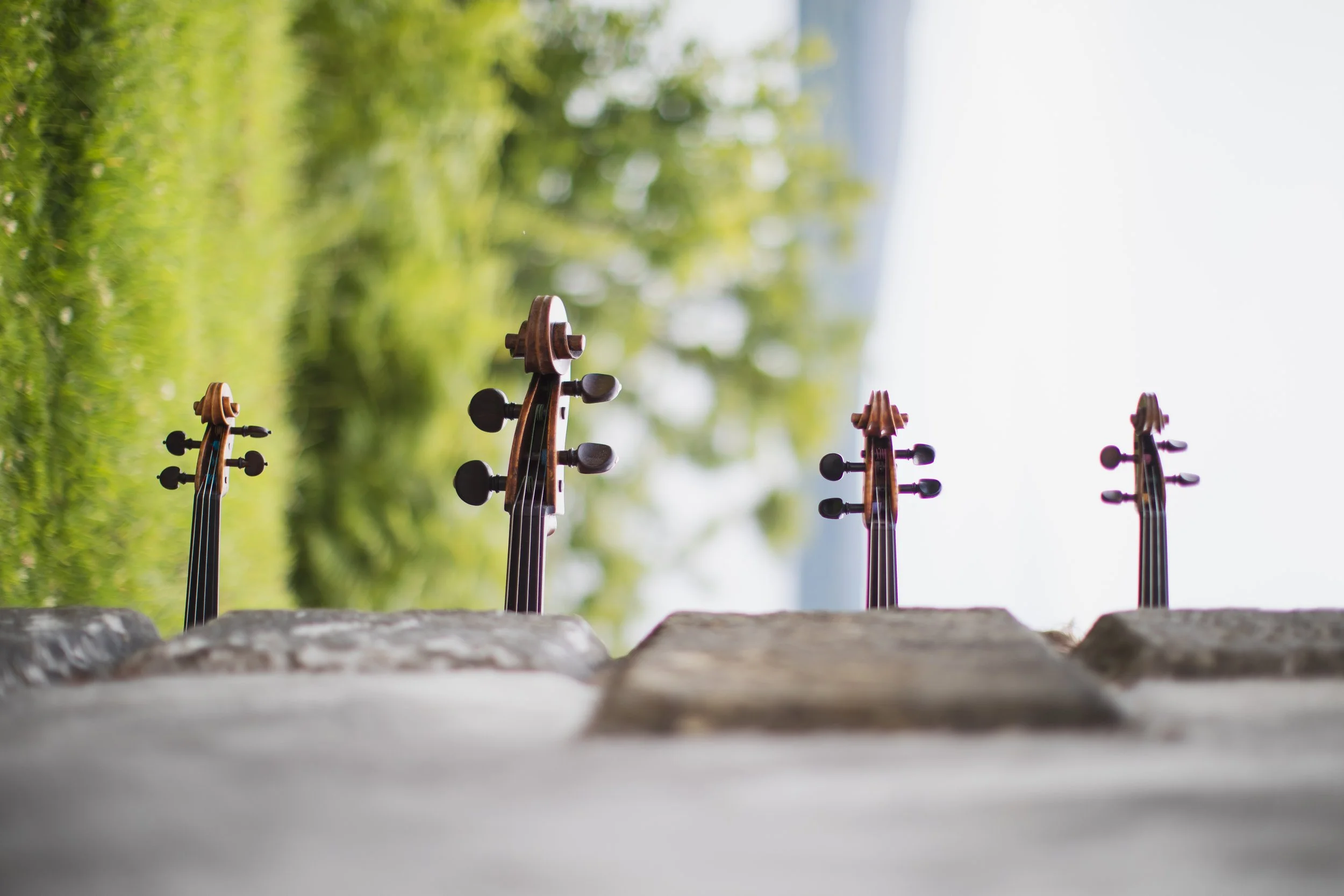 ELMORE QUARTET | BRIGHTON DOME
