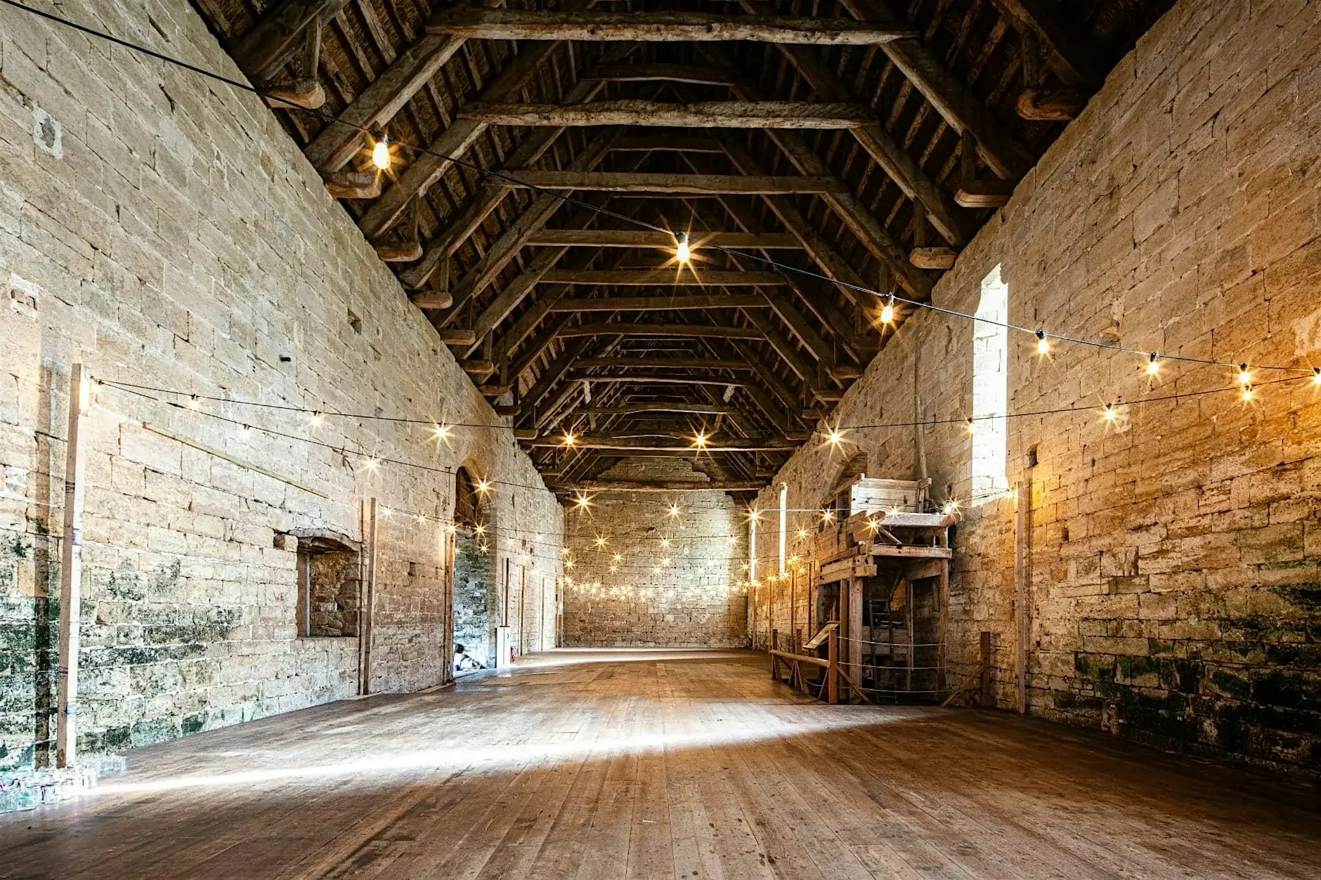 TREE OF STRINGS | INVISIBLE WAVES