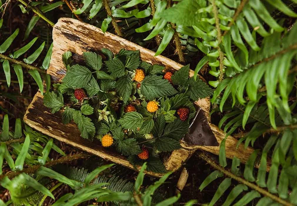 Wild-berries.jpg