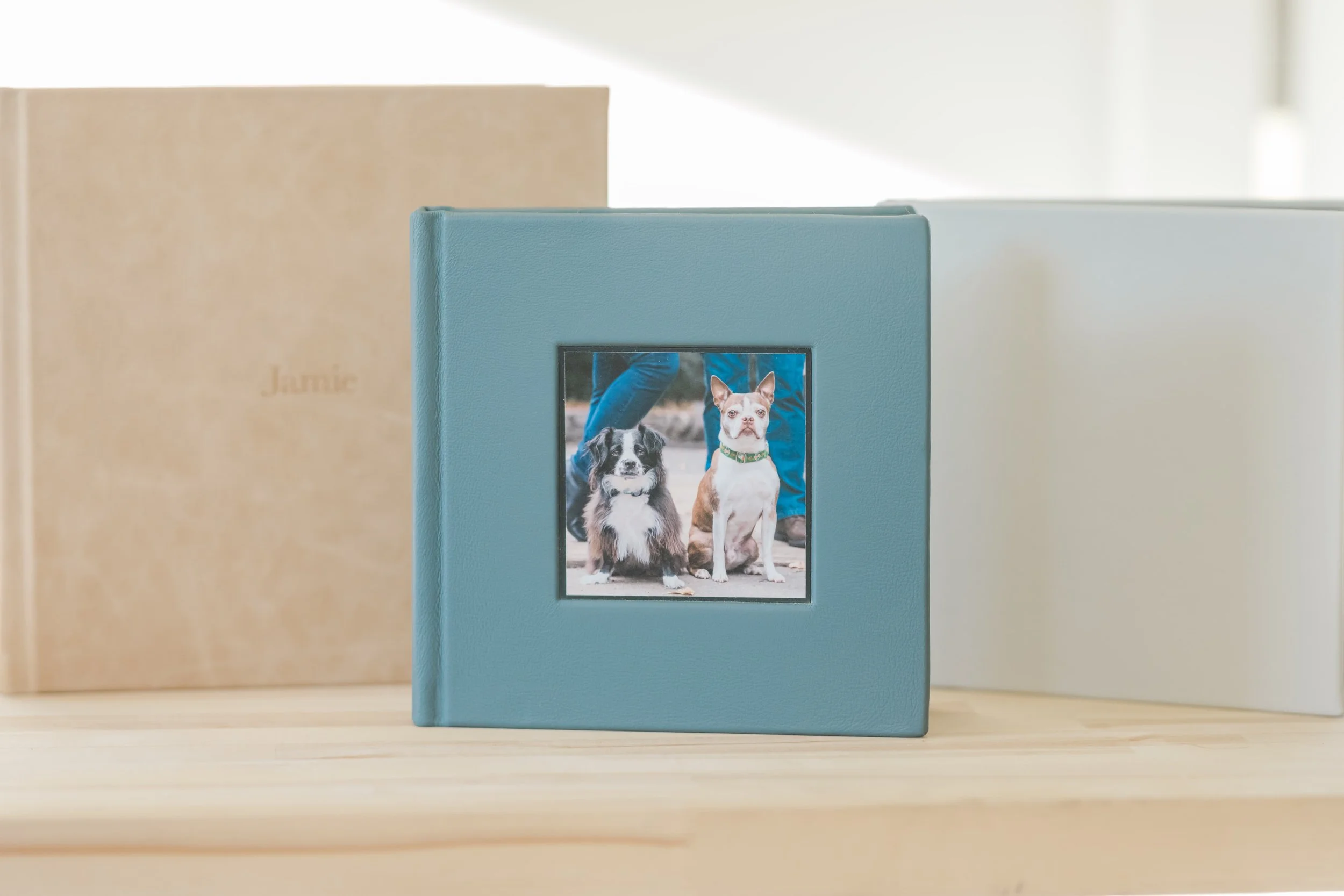 Blue photo album featuring two small dogs on the cover.