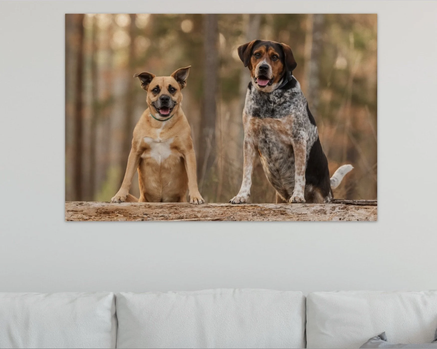 Unframed wall art of two dogs sitting on a log in a forest setting, above a white couch.
