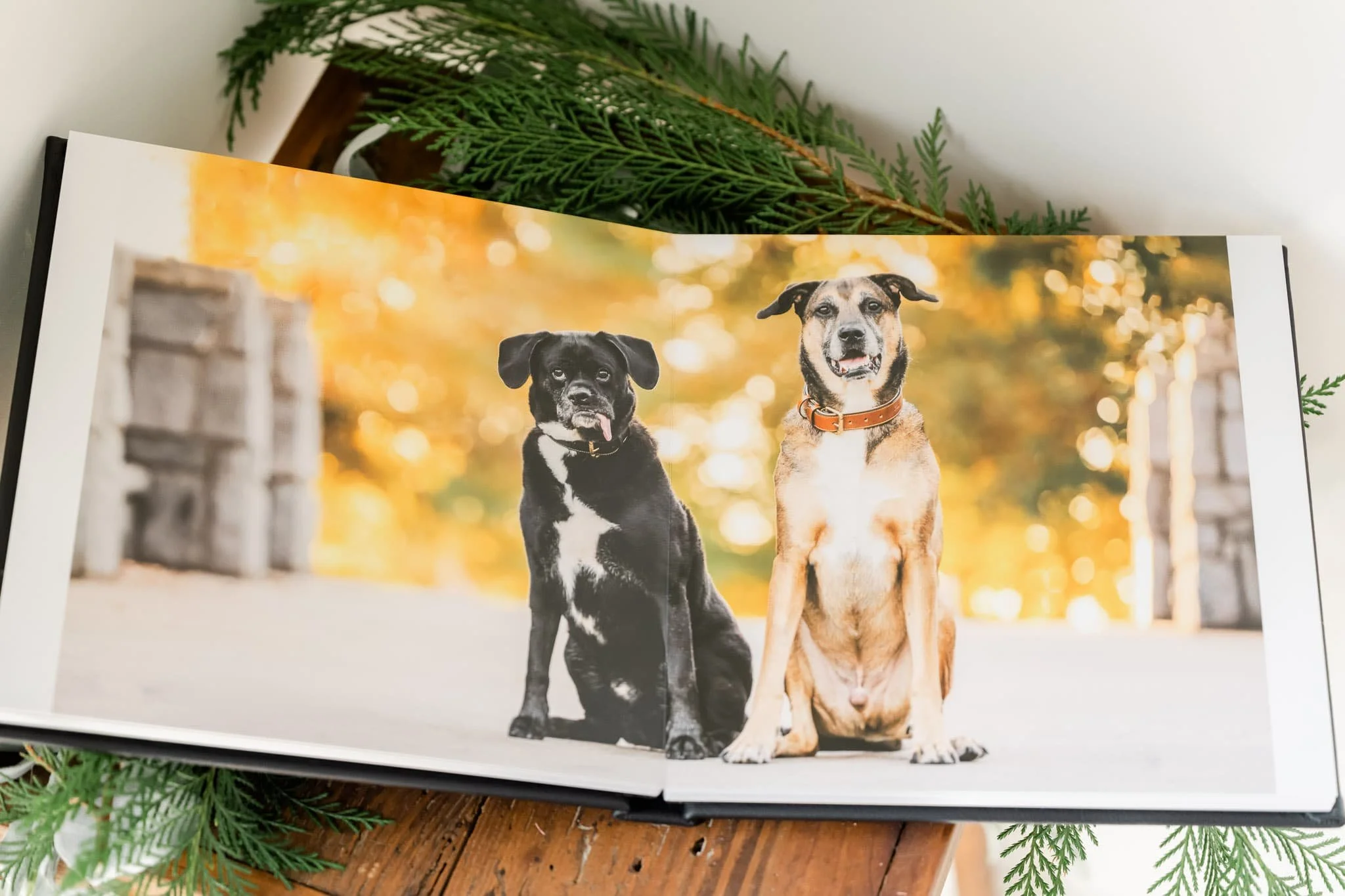 Album spread showing two dogs sitting outdoors with autumn colors.
