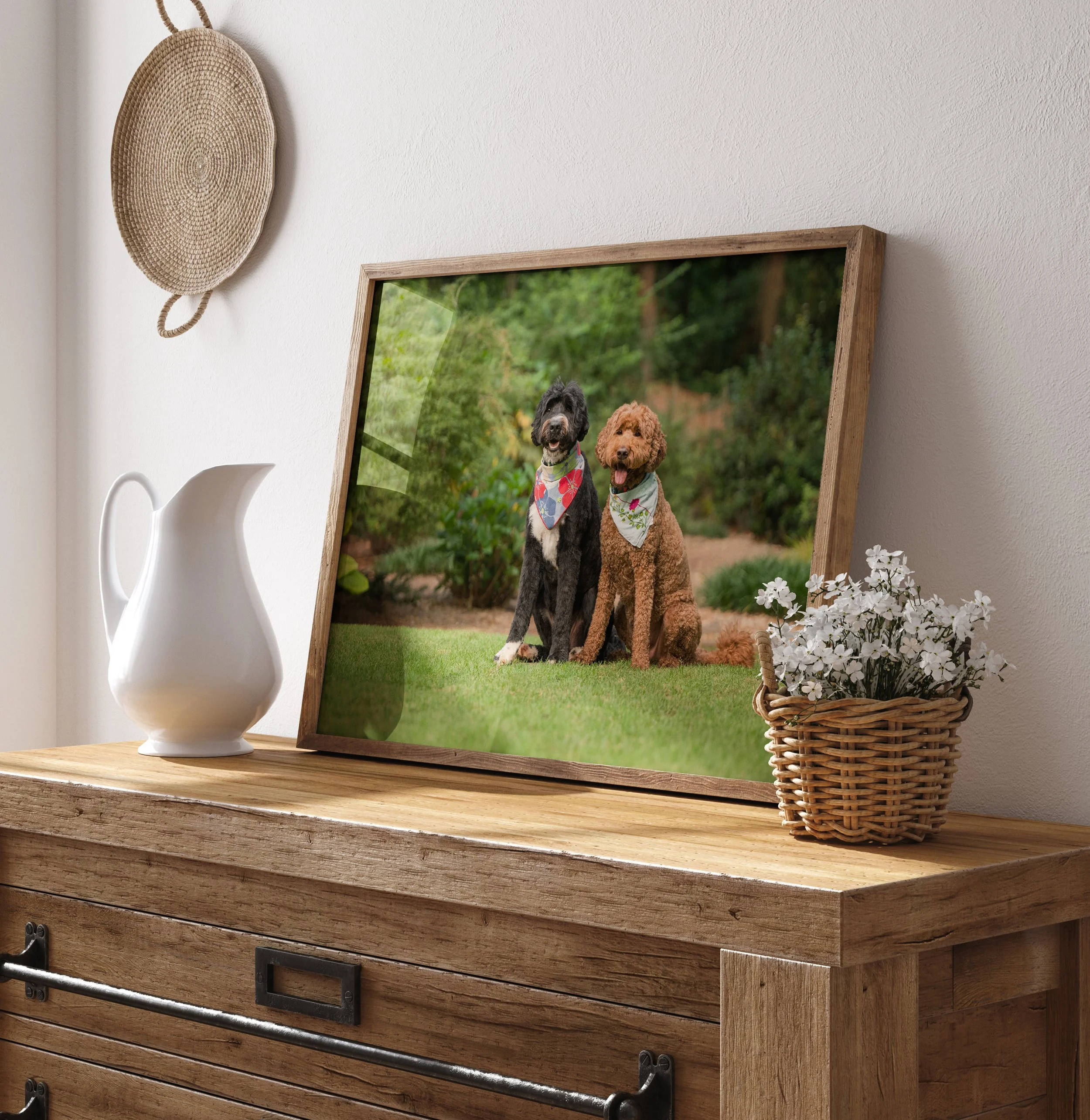 How Much Does Custom Dog Photography Cost in Atlanta?