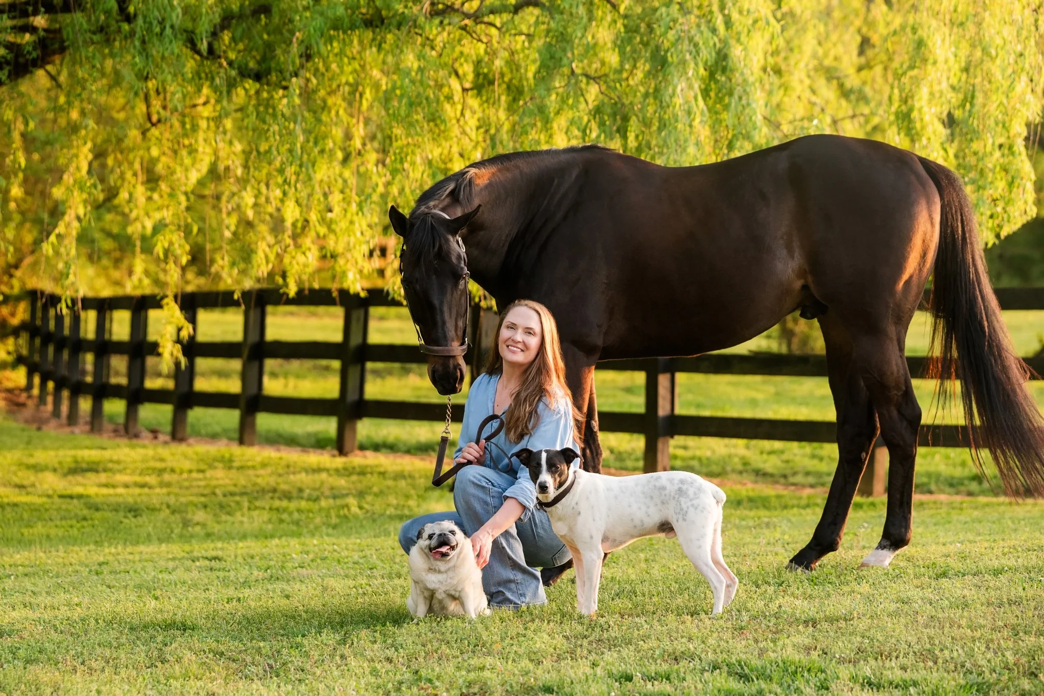 Inside a Multi-Species Session: A Horse, Two Dogs, and Figuring Out What Works