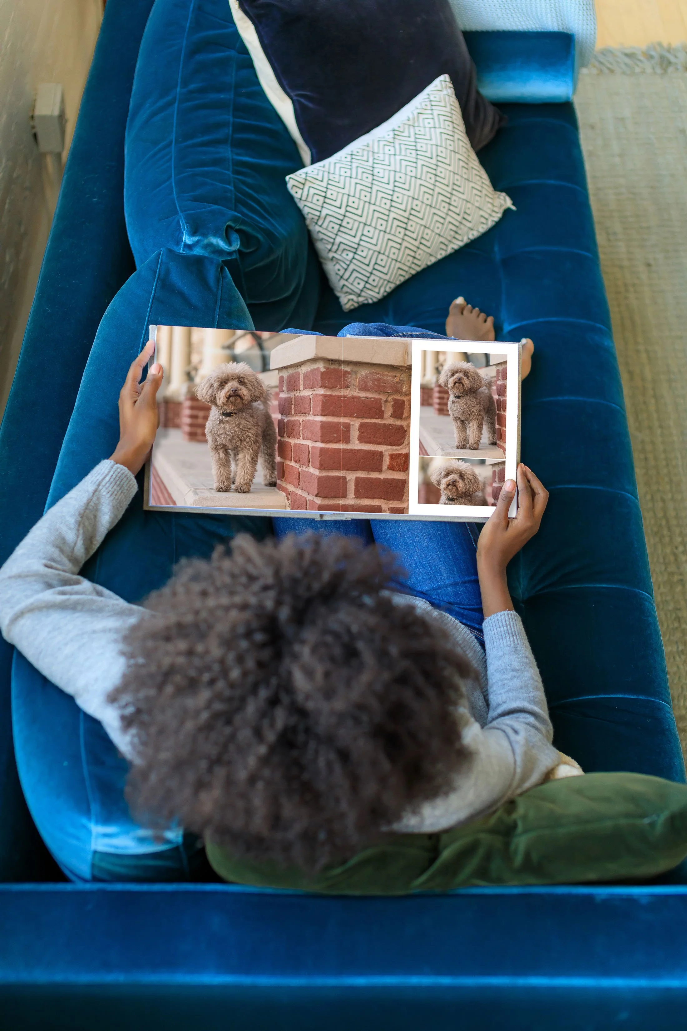 A woman sits on a blue velvet couch in Atlanta holding an heirloom photo album from her toy poodle dog photography session at Piedmont Park.