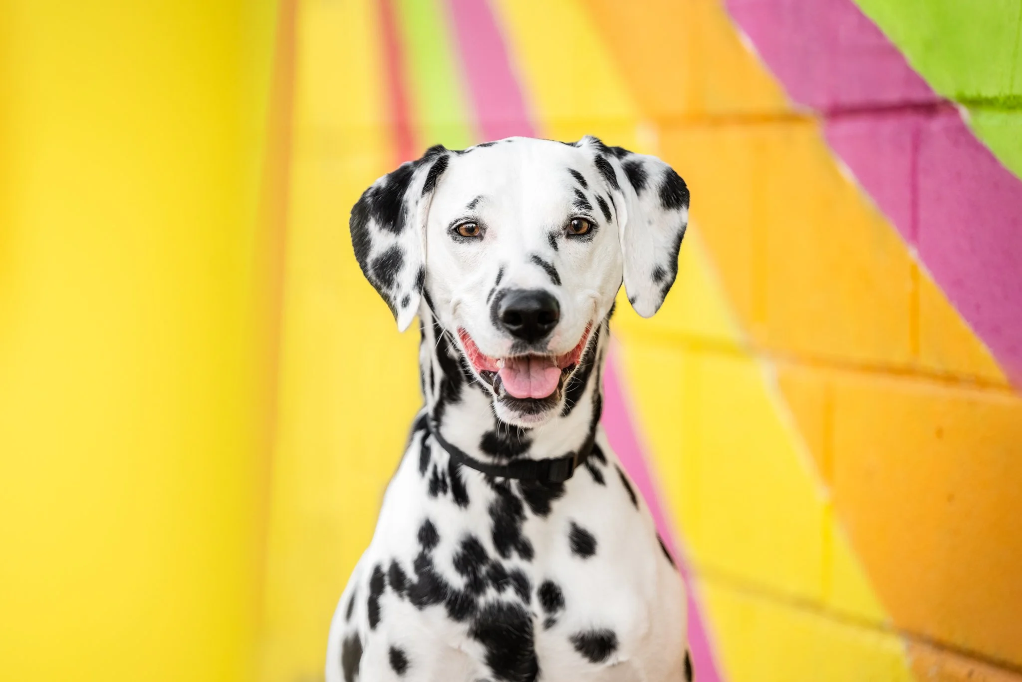 Happiness is Colorific — Behind the Scenes