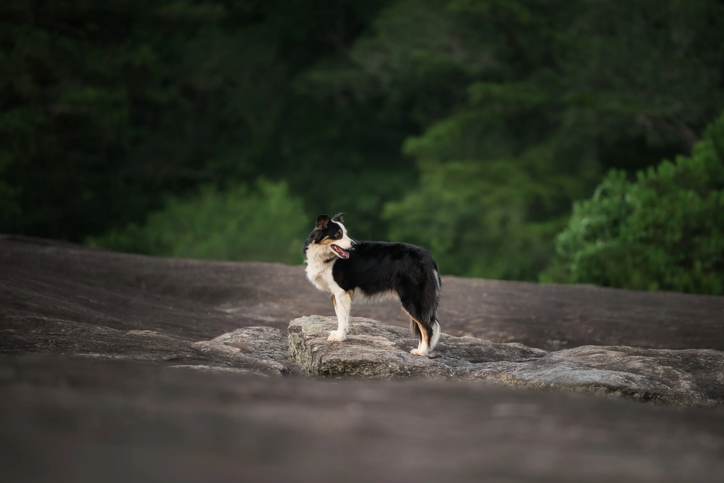 untitled shoot-9729-Edit.jpg