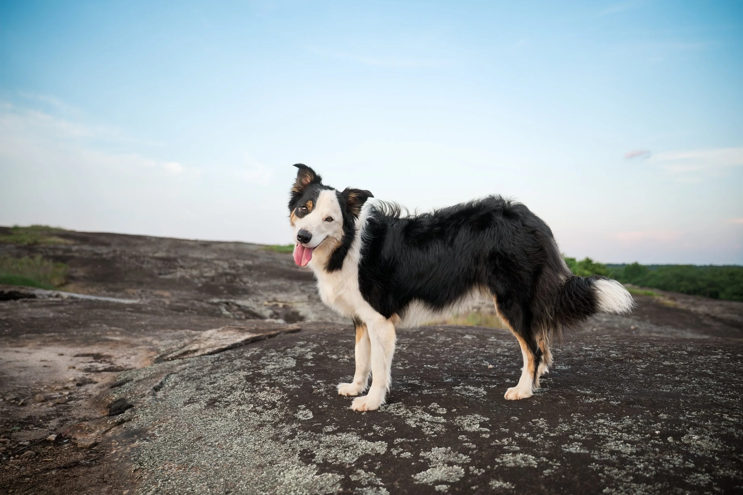 untitled shoot-9790-Edit.jpg