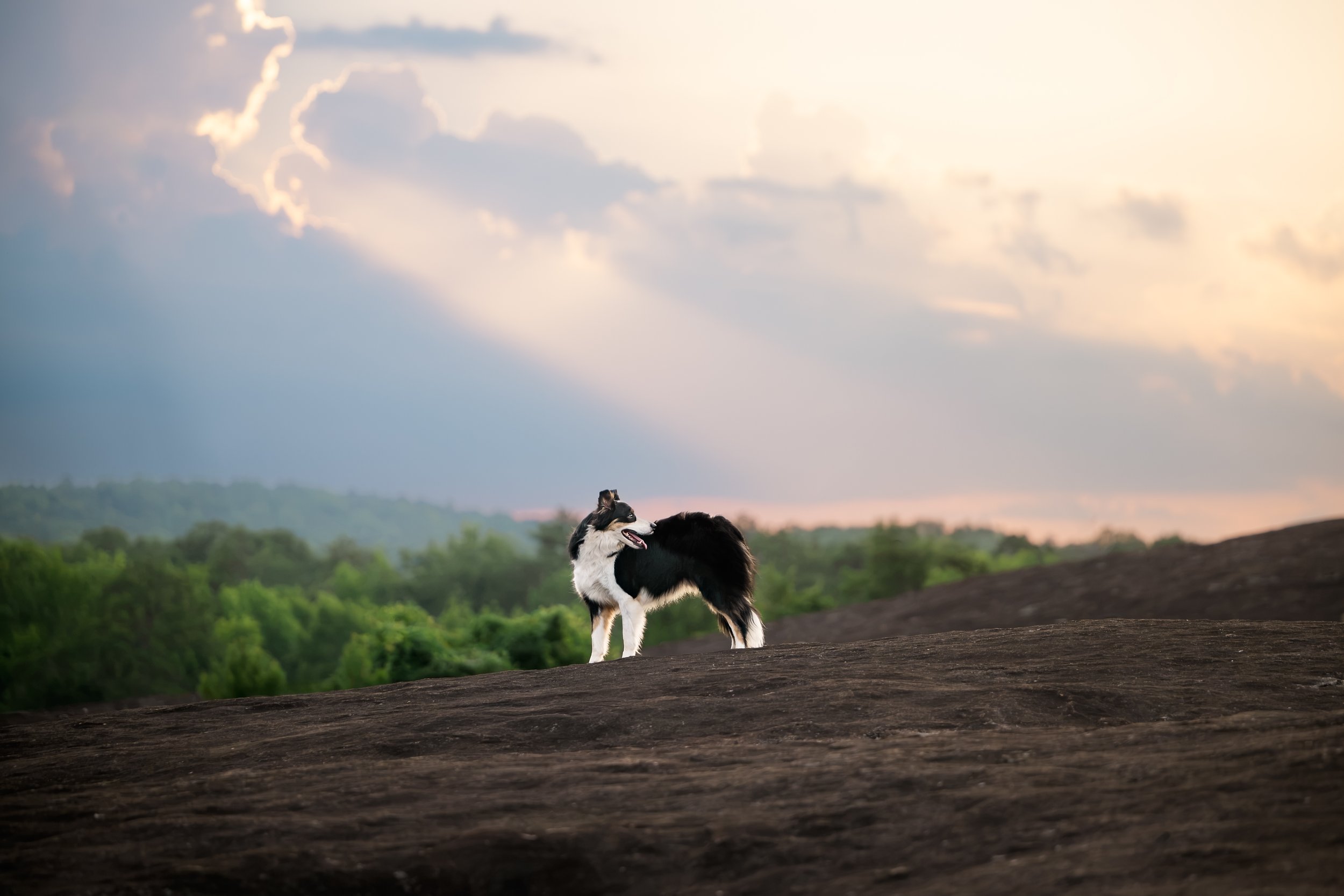 untitled shoot-9744-Edit-2.jpg