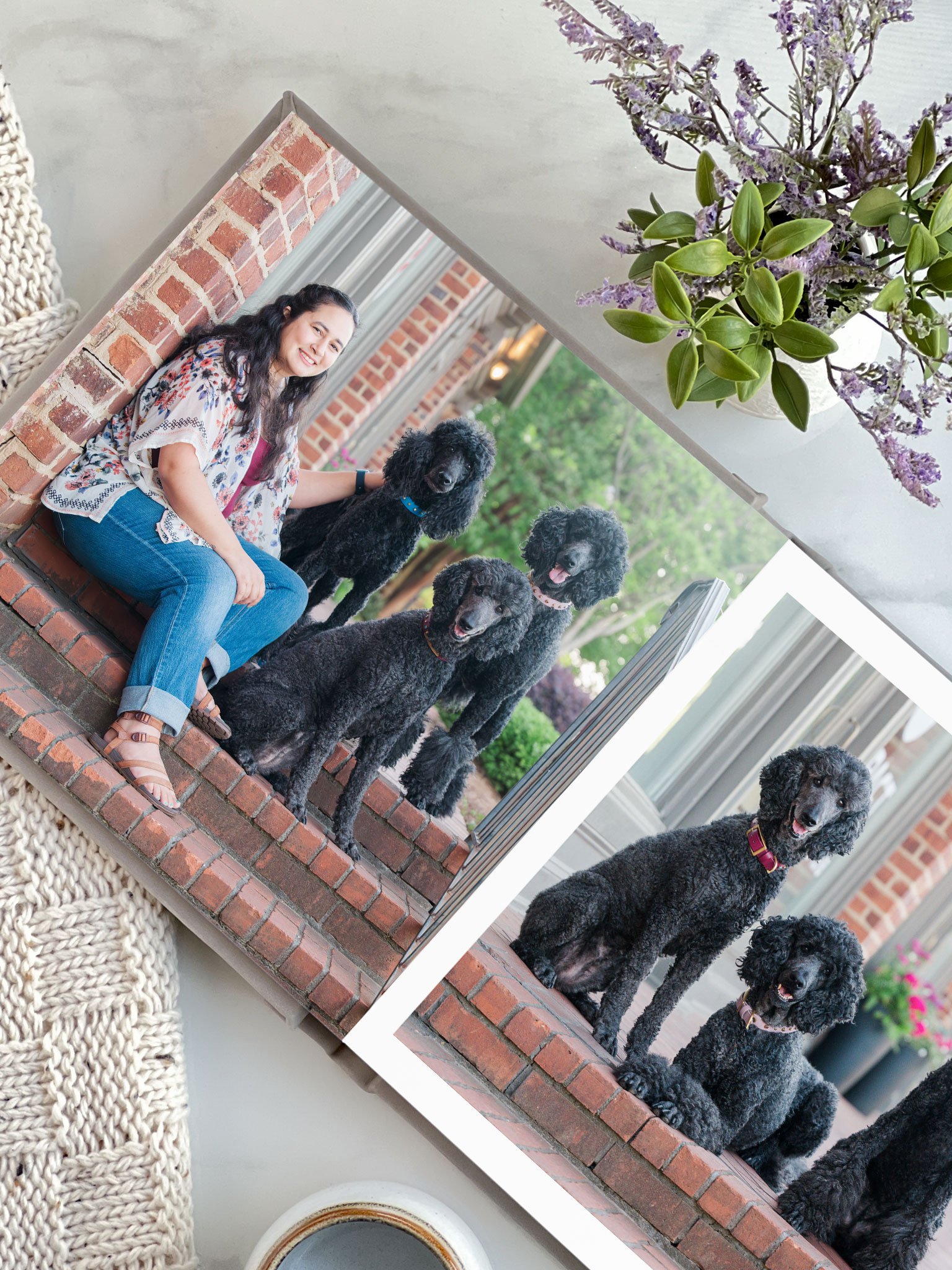 Three black Standard Poodles  photo album Echo Lilac Dorothy Madison Georgia dog photography CM Bryson Photography