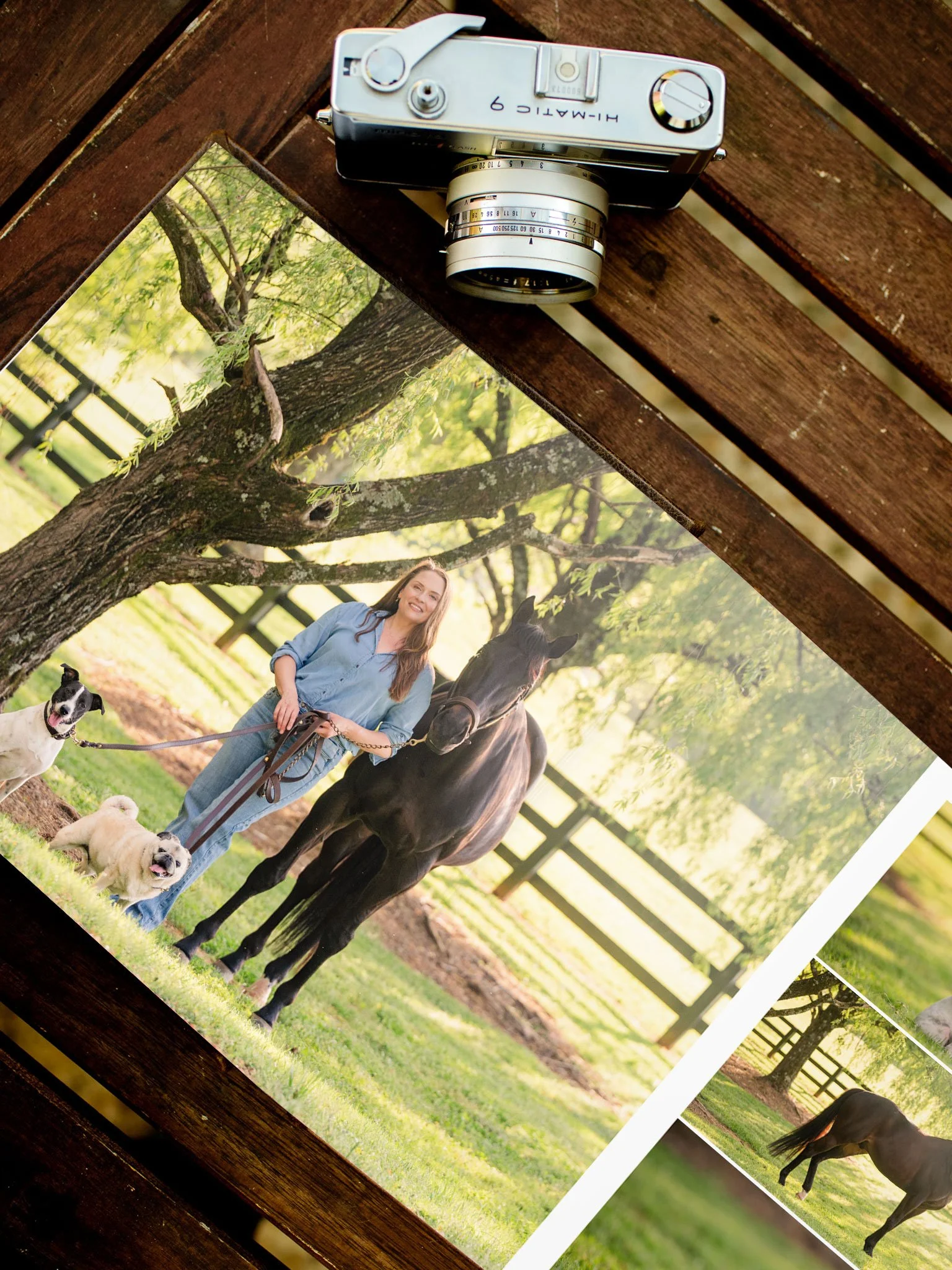 Luxury pet photography album open to a portrait of woman with black horse and two dogs under weeping willow trees at Arbor Hill Farm in Canton Georgia, displayed with vintage film camera