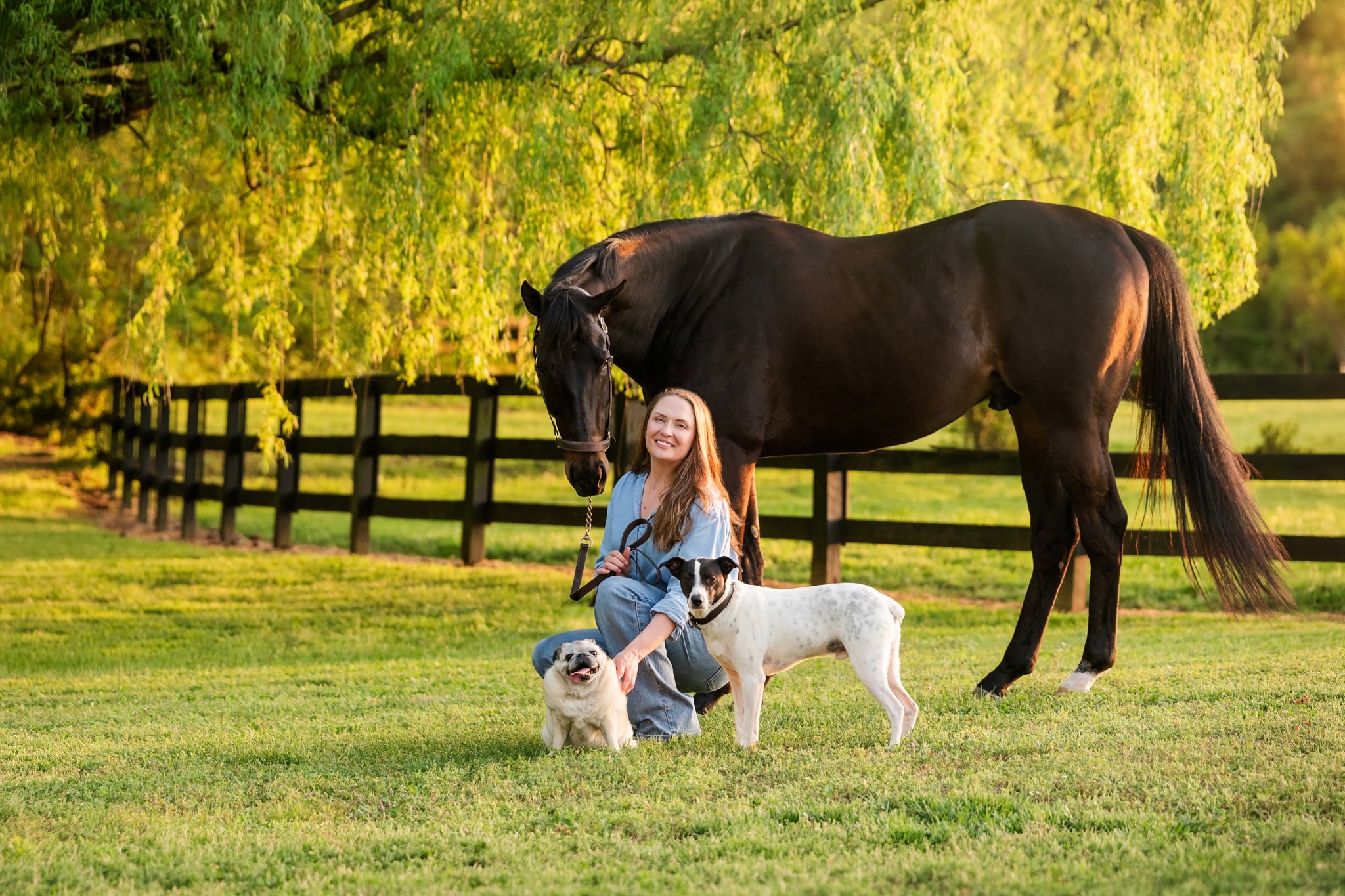Woman kneeling in green grass smiling with black horse standing behind her and Pug and Jack Russell mix dogs beside her under a sweeping weeping willow tree with black four-board fencing in golden hour light at Arbor Hill Farm Canton Georgia