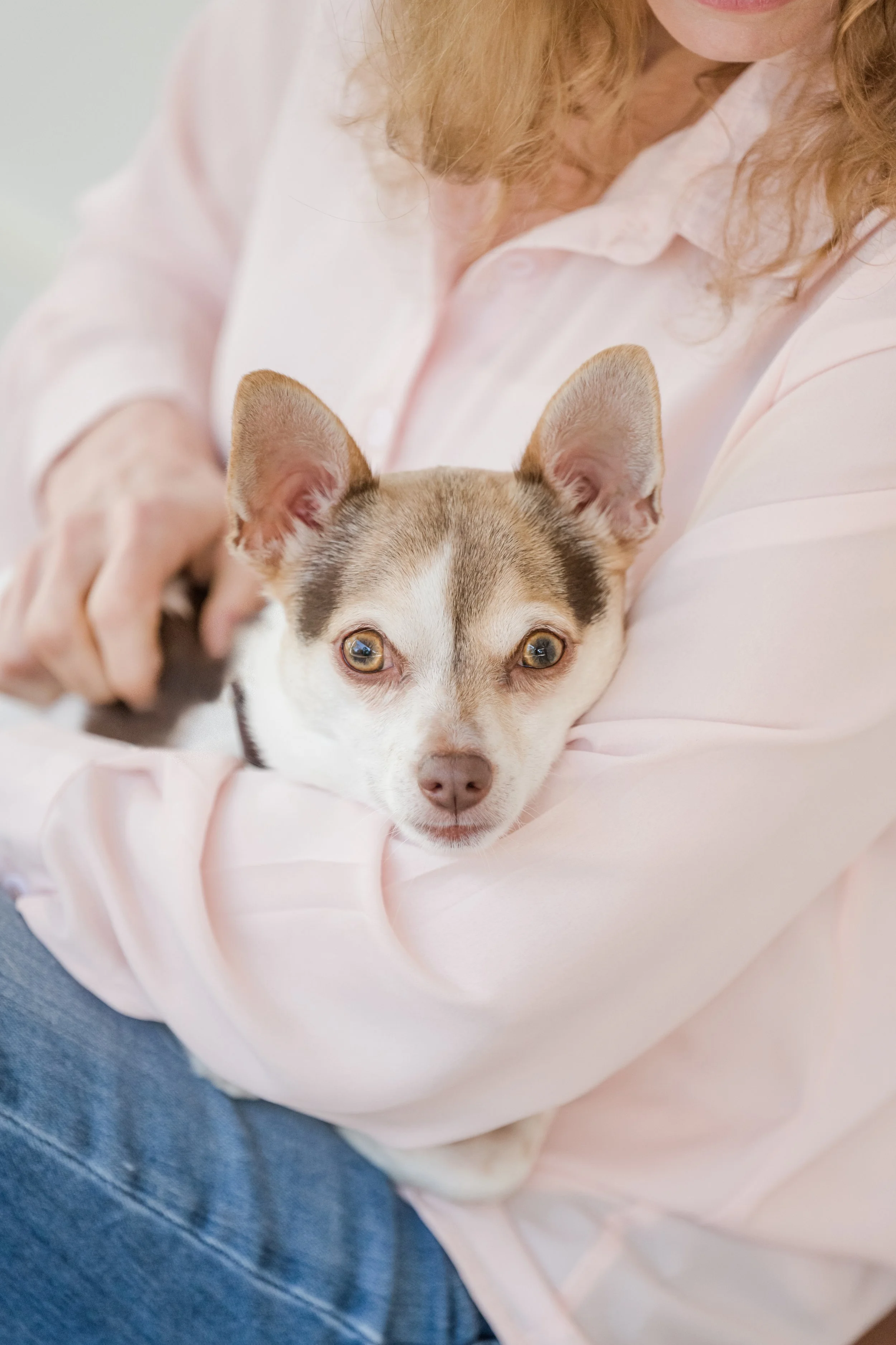 Richards family with dog outdoor session what to wear dog photography Atlanta CM Bryson Photography