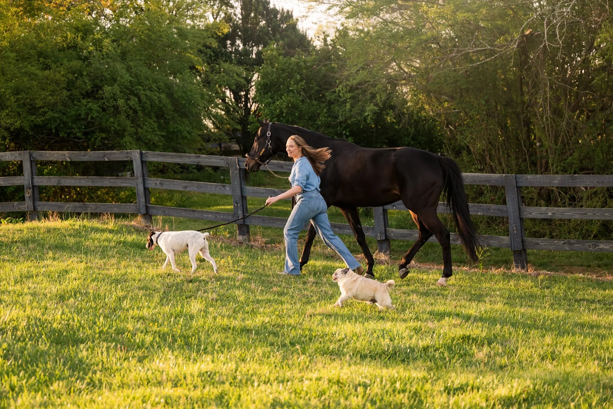 Woman walking with black horse Jack Russell mix and Pug through green field along wooden fence line in golden evening light at Arbor Hill Farm Canton Georgia multi-species family portrait session.
