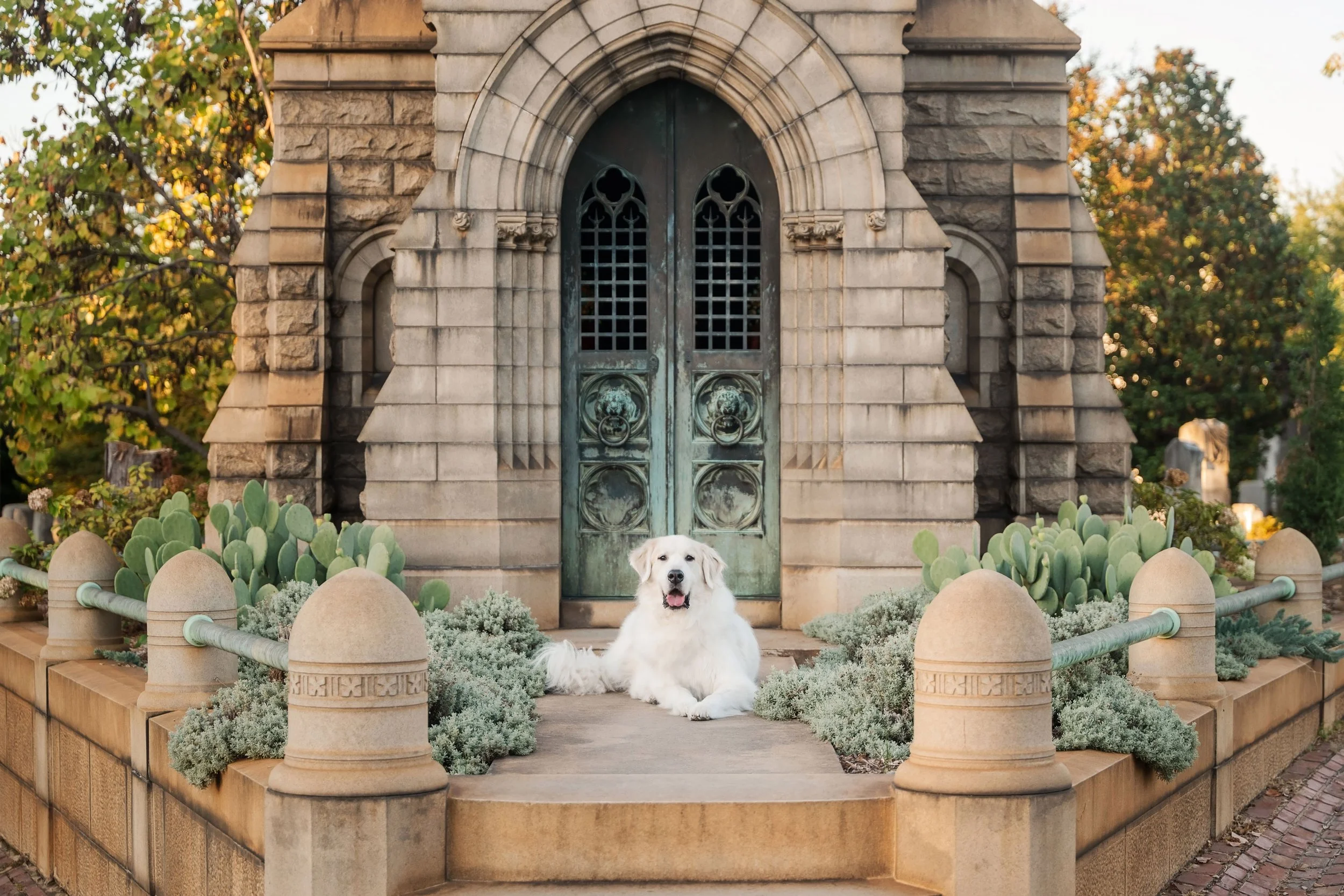 A cream-colored Great Pyrenees dog relaxes on a stone walkway in front of an ornate mausoleum with green copper doors at Oakland Cemetery, Atlanta.