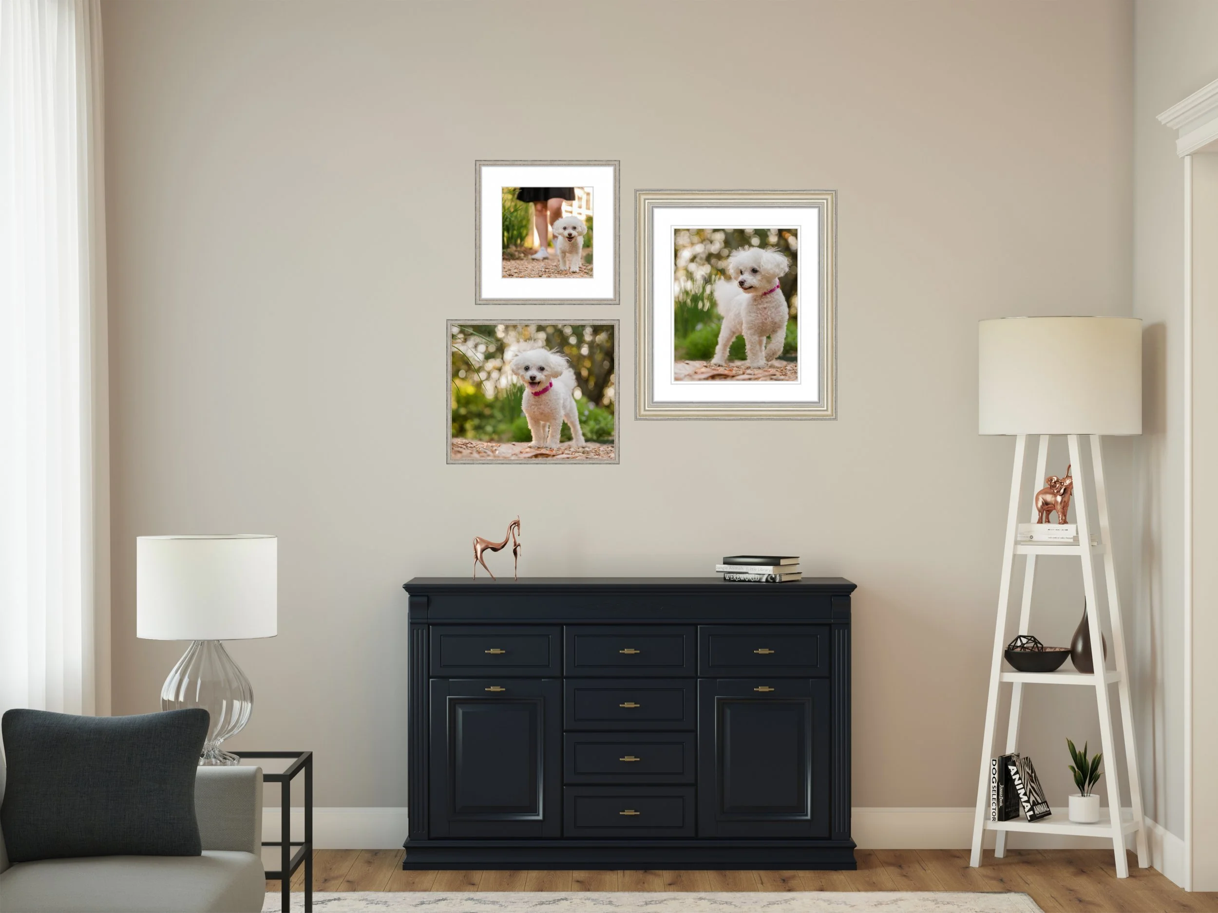 A classic living room with a 3 piece wall art gallery over a black entry table showing 3 images of a white poodle mix dog at Athens, GA's UGA North Campus.