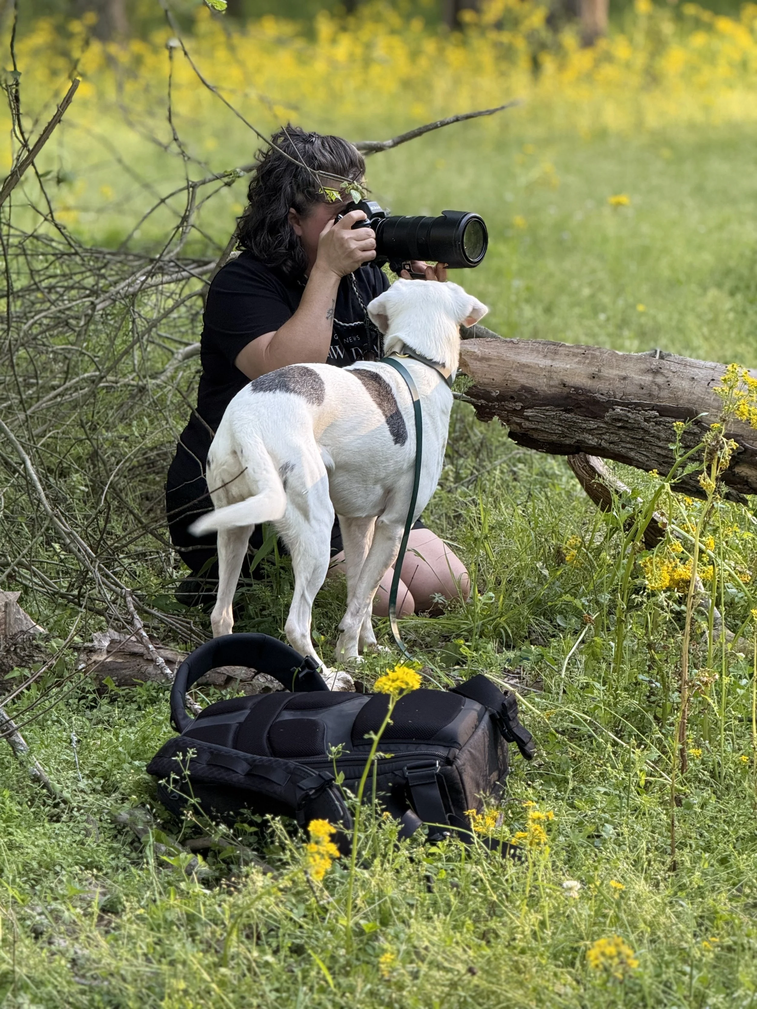 Behind the scenes pet photography session Atlanta Georgia CM Bryson photographer at work