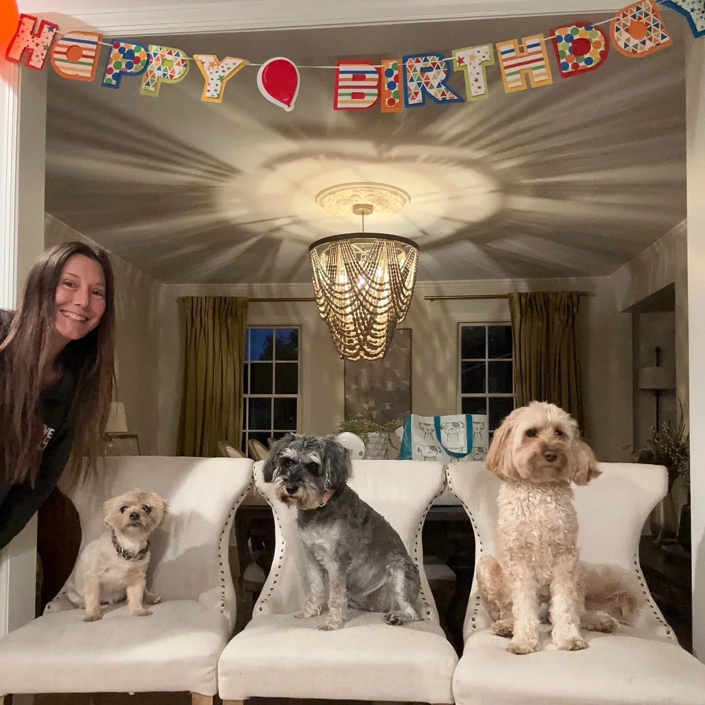 ✨ My family is the BEST!! With this much love who could ask for a better crew to paw-ty with? 🐾🎉❤️

#BirthdayVibes #DogCrew #FamilyLove #PawtyTime #DogLife #FurryFriends #BestFamilyEver #DogMomLife #TheShayTeam
