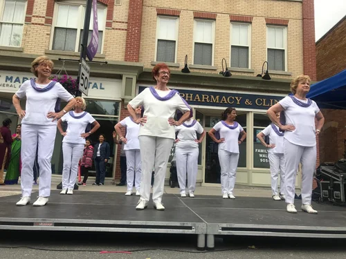 Markham Village Music Festival