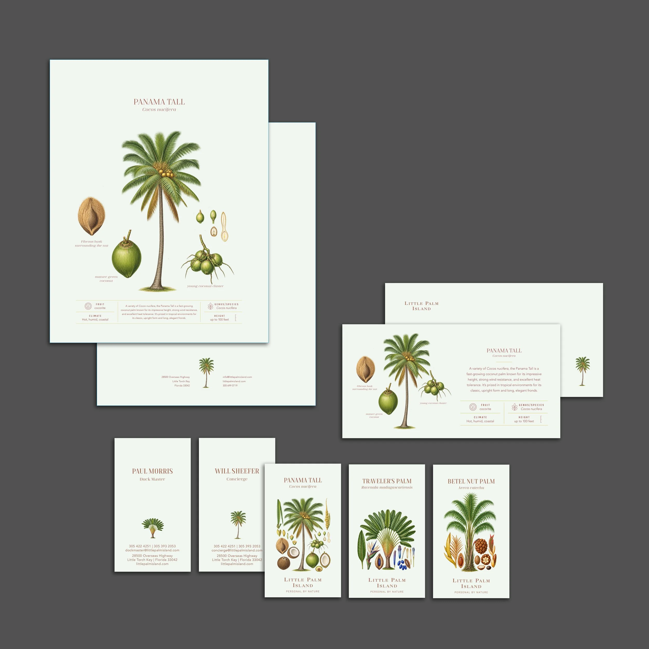 AnDiels_LPI_Stationary.jpg