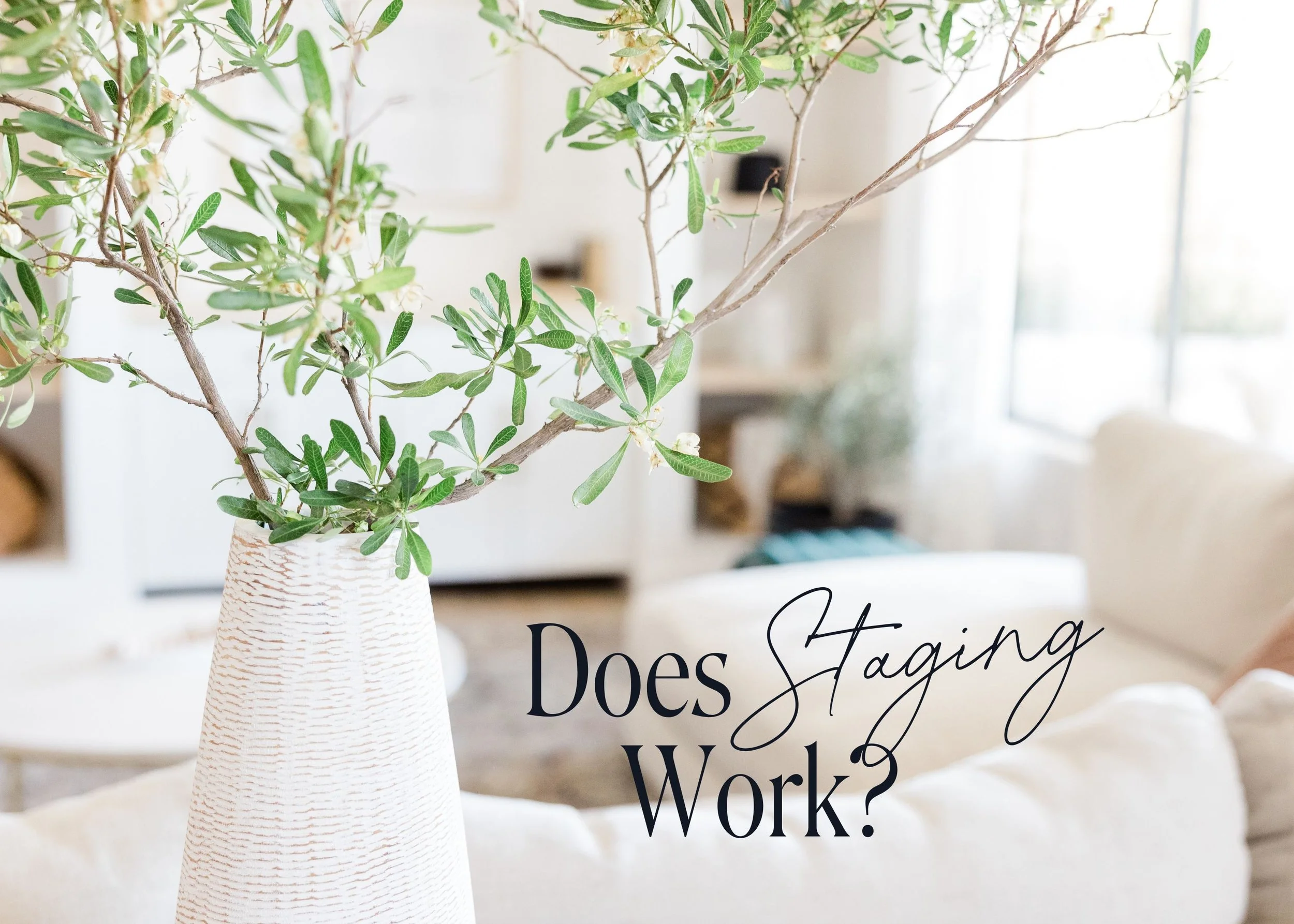 "It’s Not Just Fluff": Why Home Staging in Winnipeg Actually Sells Homes