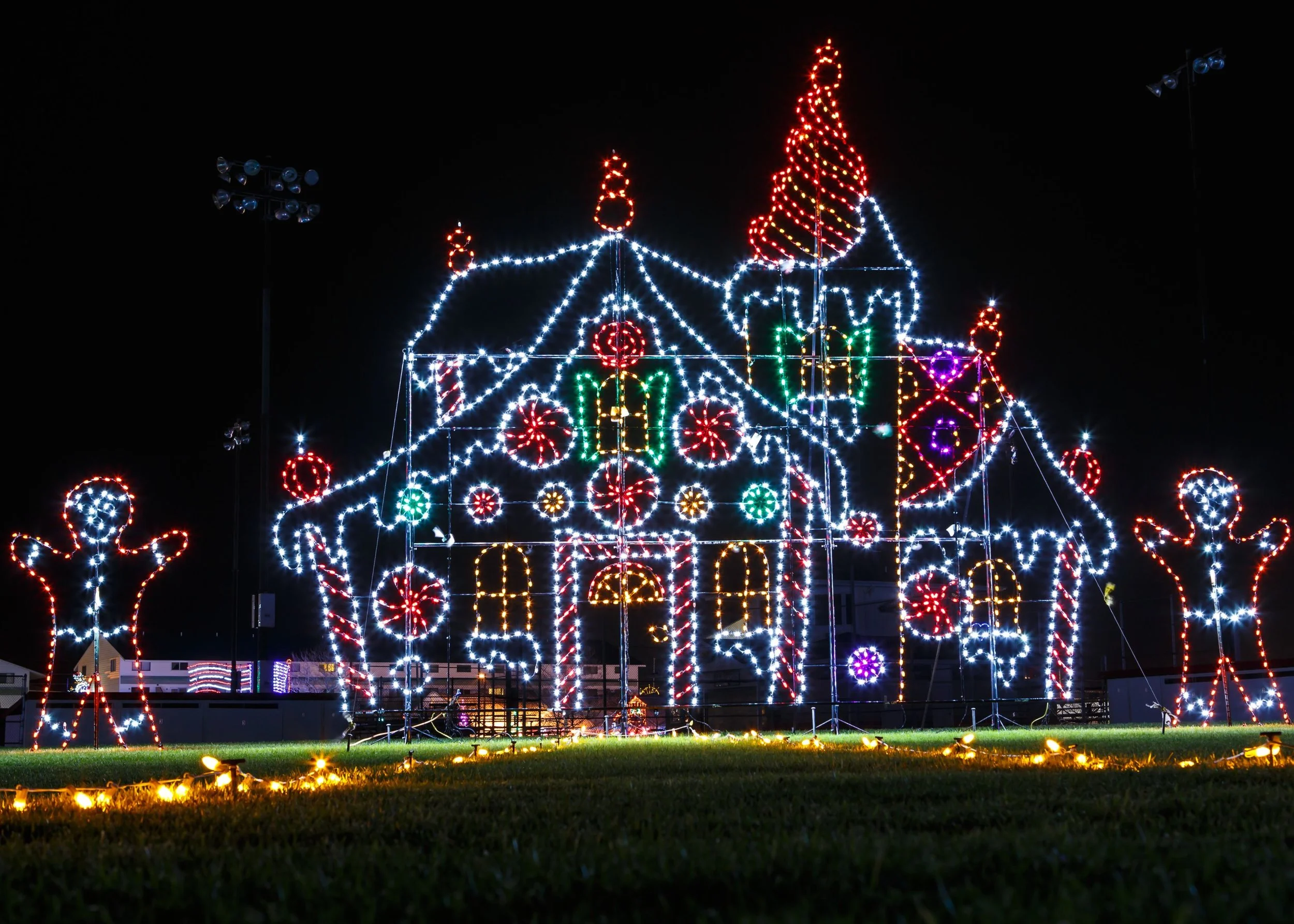 What to do in Winnipeg in December 2025!