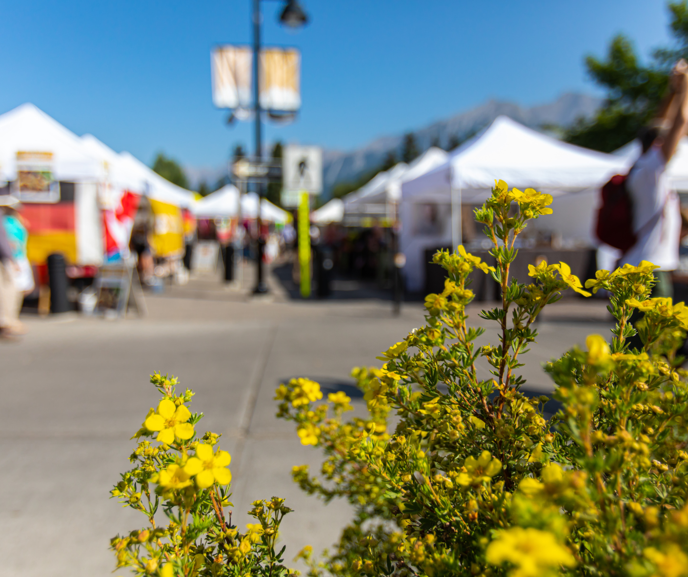 Your 2026 Guide to Farmers’ Markets in Winnipeg (Dates, Locations &amp; Hidden Gems)