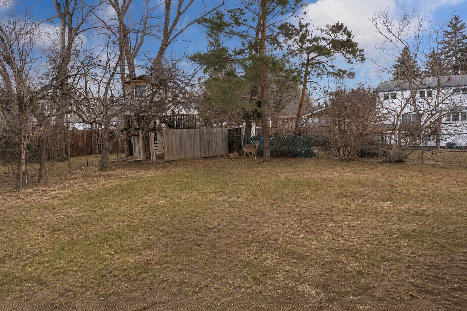 040_6-Bedroom Home in Fort Richmond – Quiet Bay Near University of Manitoba, Ideal for Families or Investors.jpg