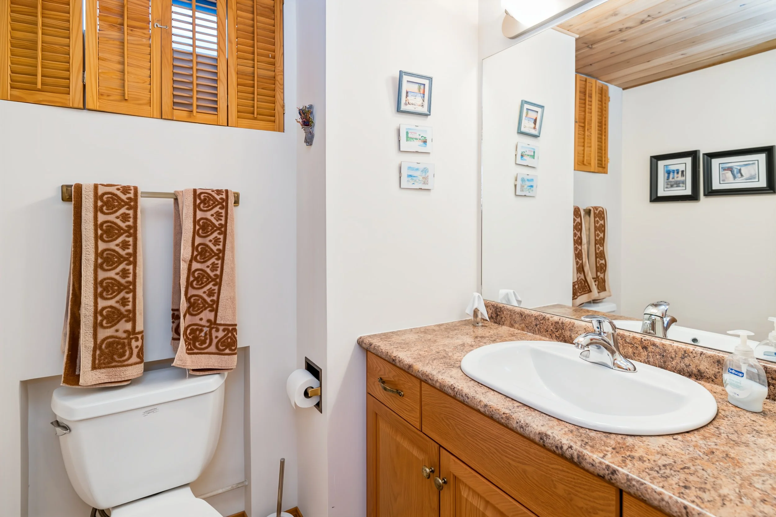 038 homes with bathrooms in basements winnipeg.jpg