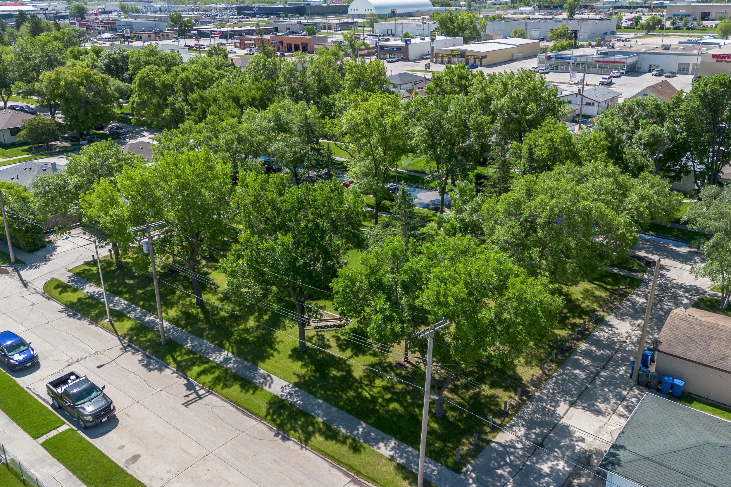 DJI_0019.jpg
