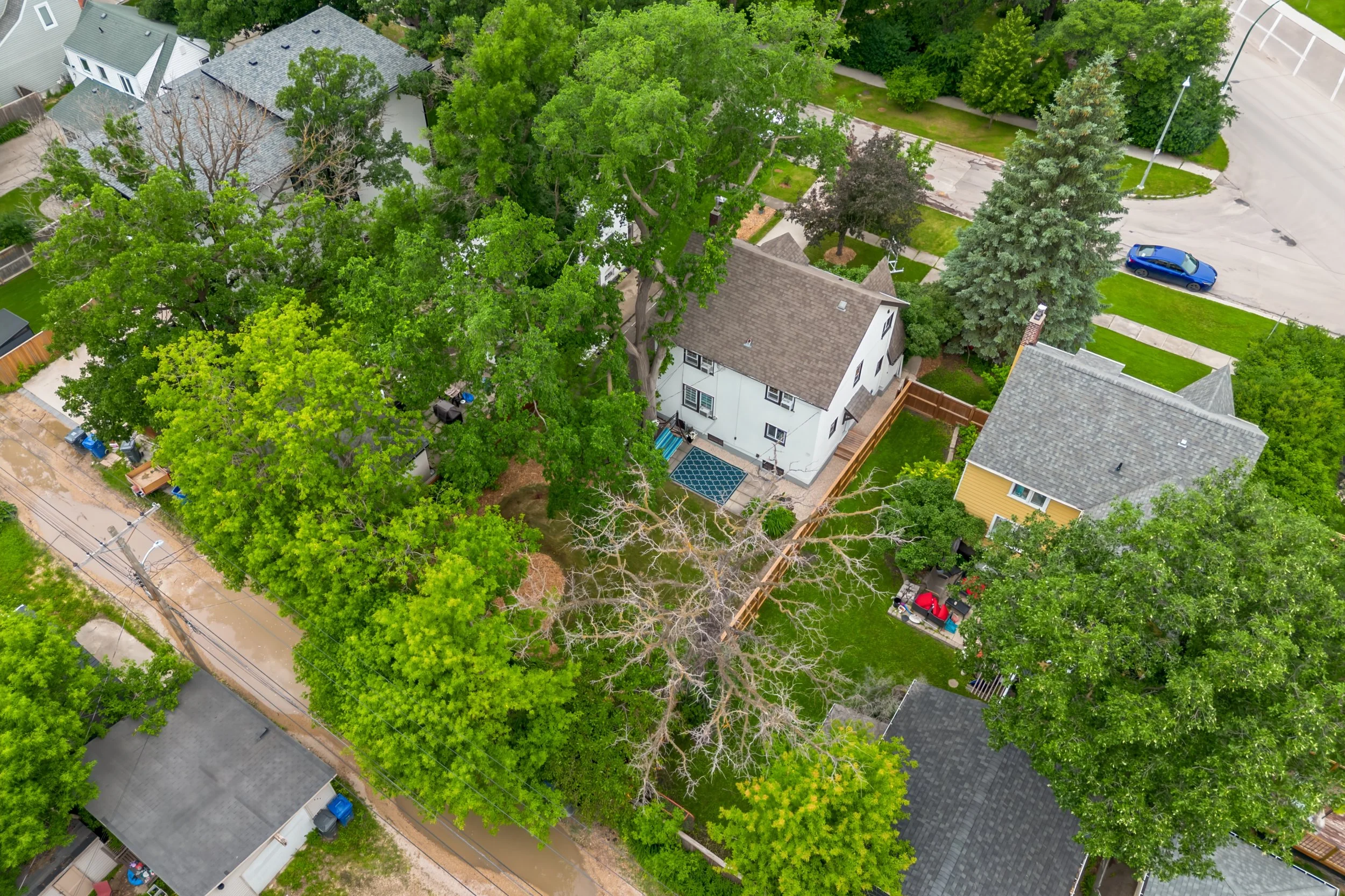 061 Quiet residential street in prime East Fort Garry.jpg