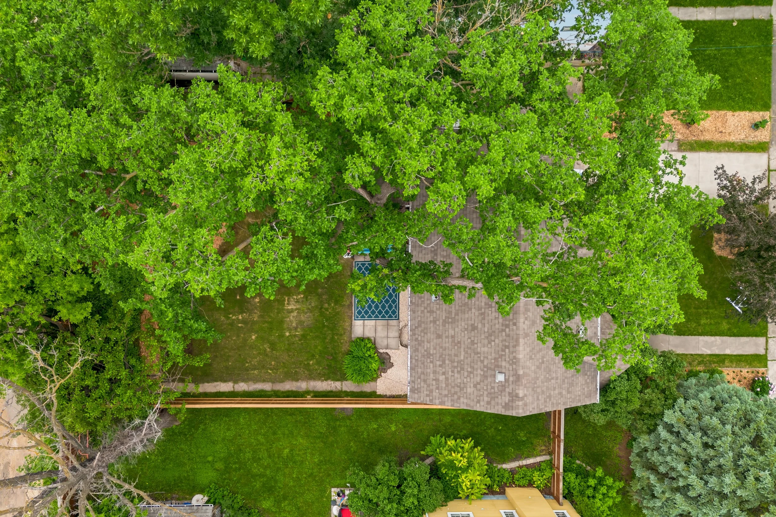 062 oversized yards in east fort garry.jpg