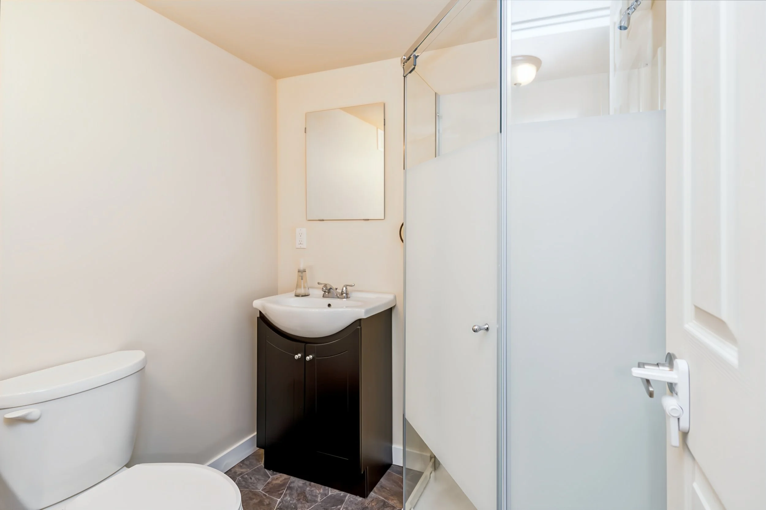 043 Three-piece basement bathroom in Royalwood.jpg