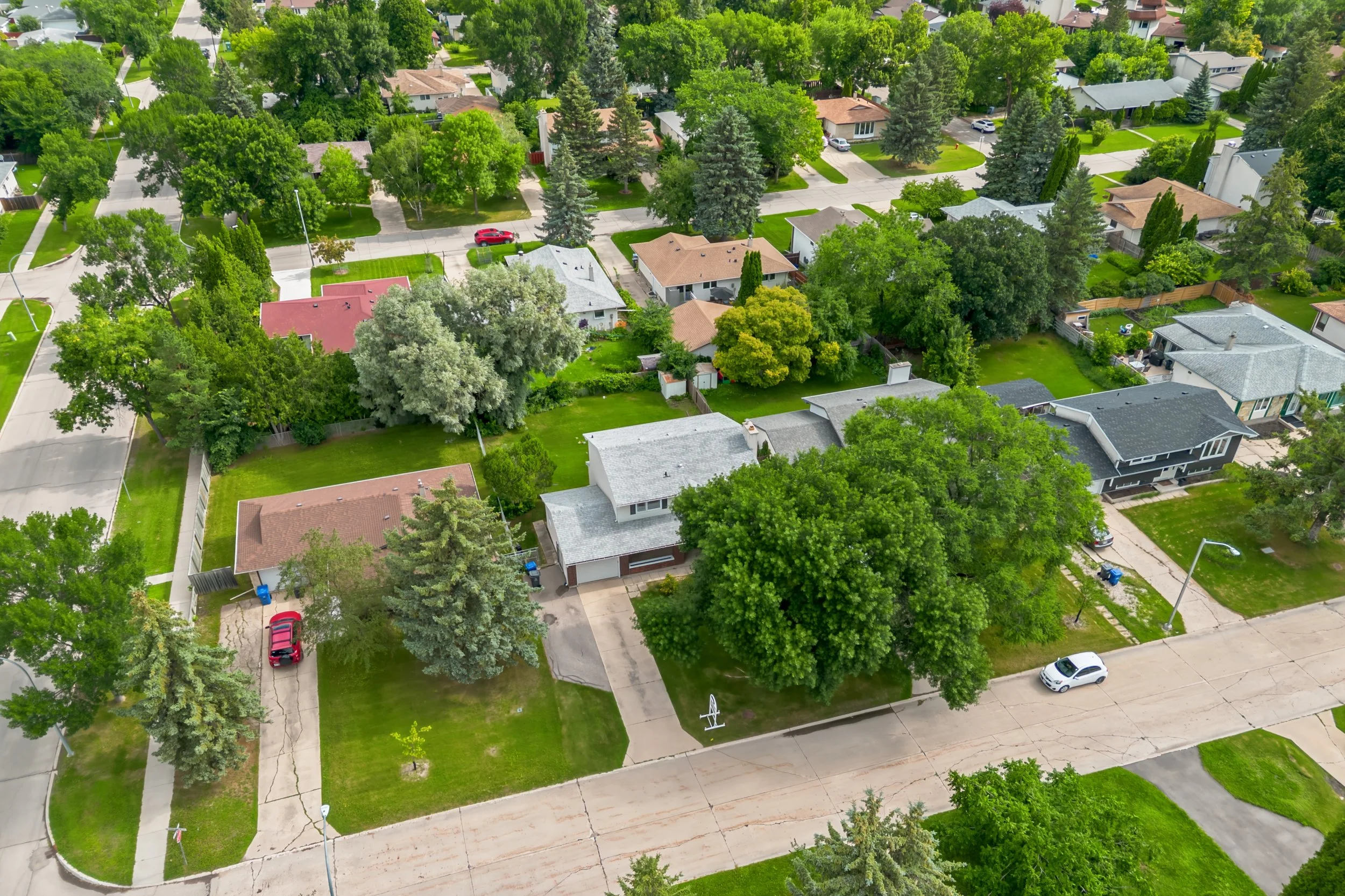 DJI_0423_f342.jpg