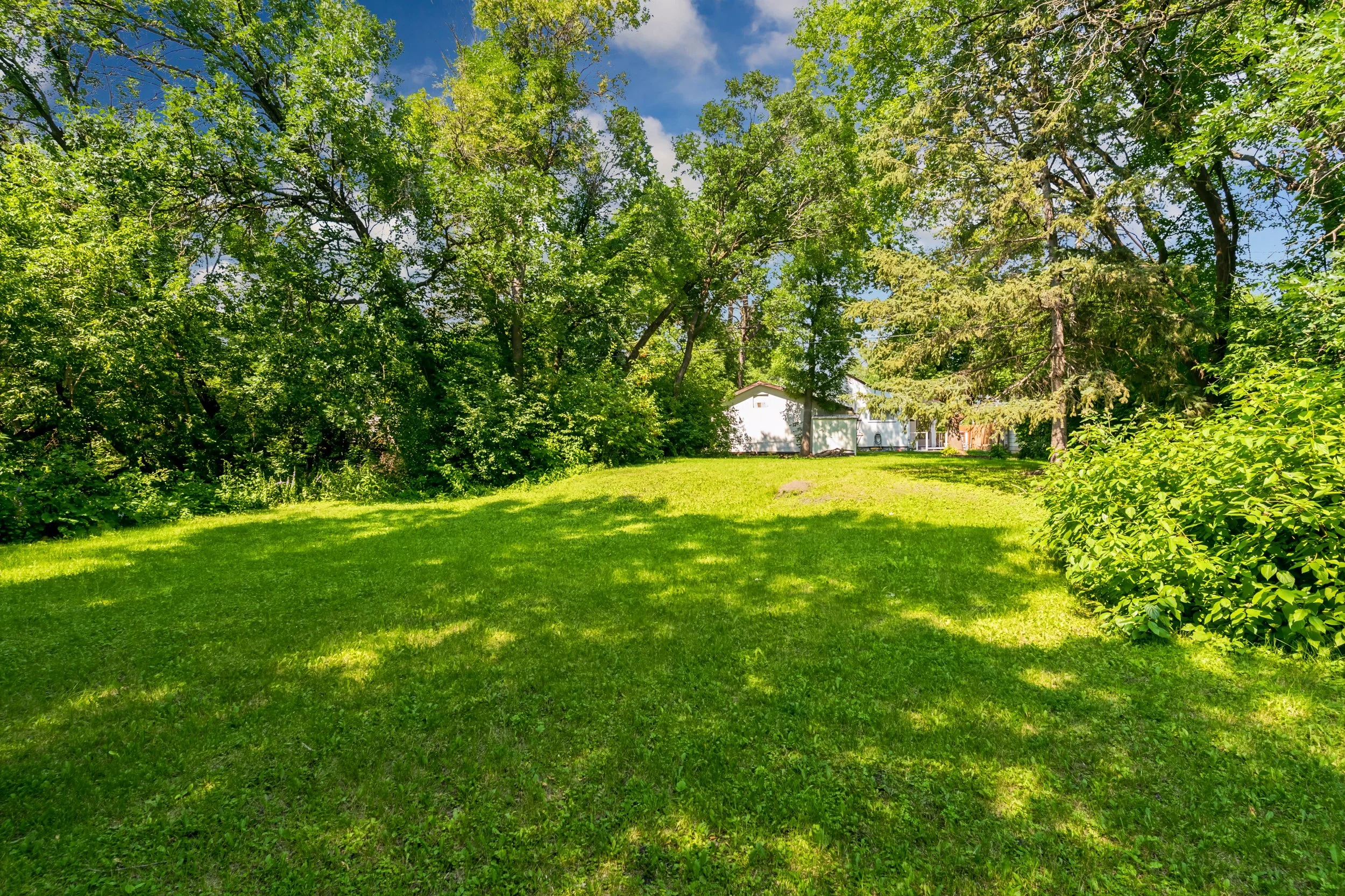 039 Mature trees and wildlife near Fraser’s Grove property.jpg