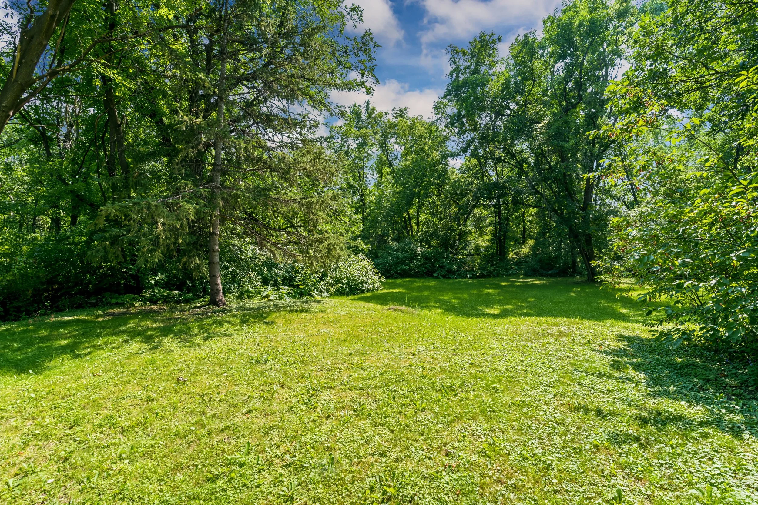 040 Essar Park located directly behind the backyard.jpg