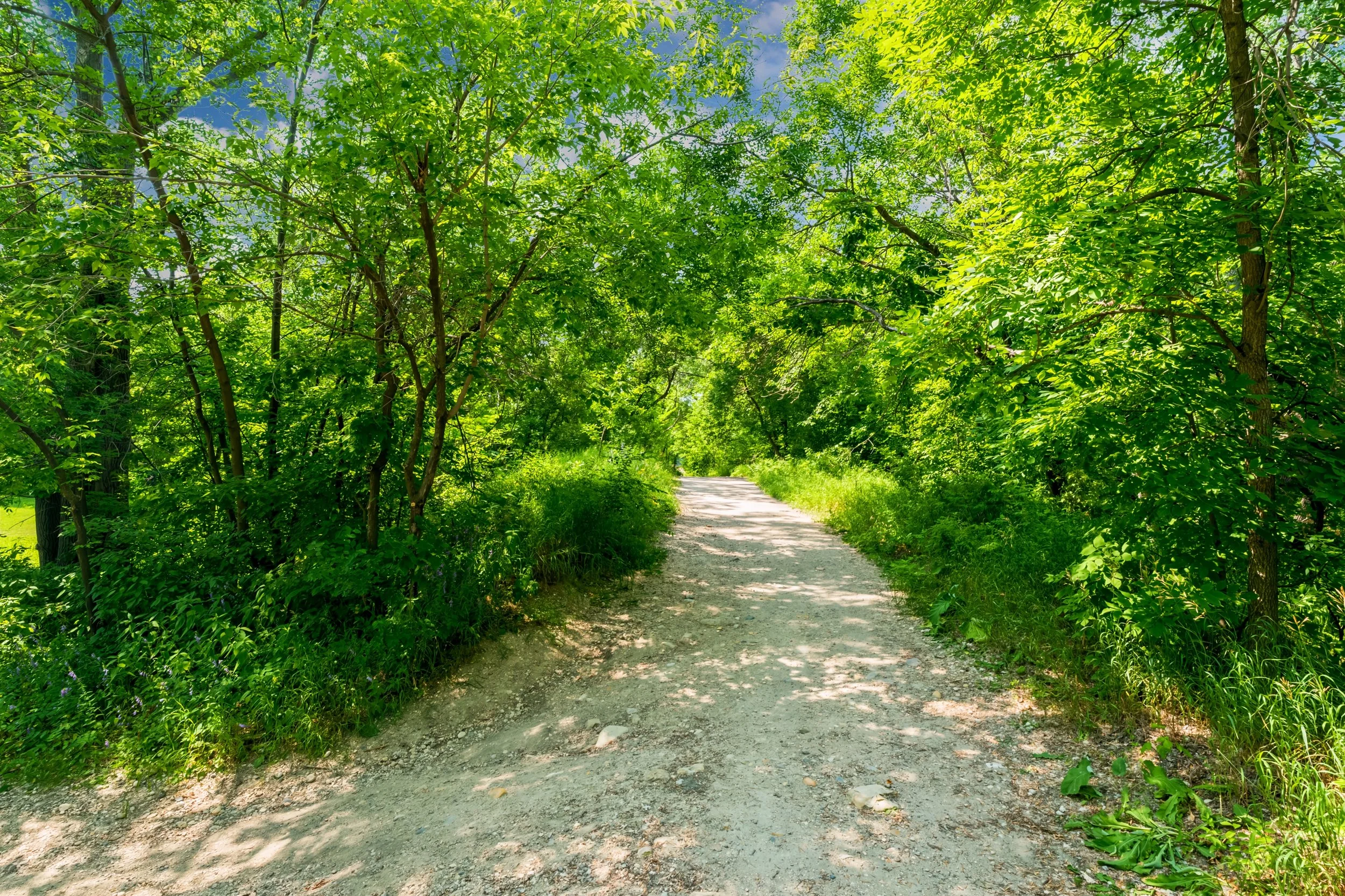 042 Homes backing onto walking trails in winnipeg.jpg