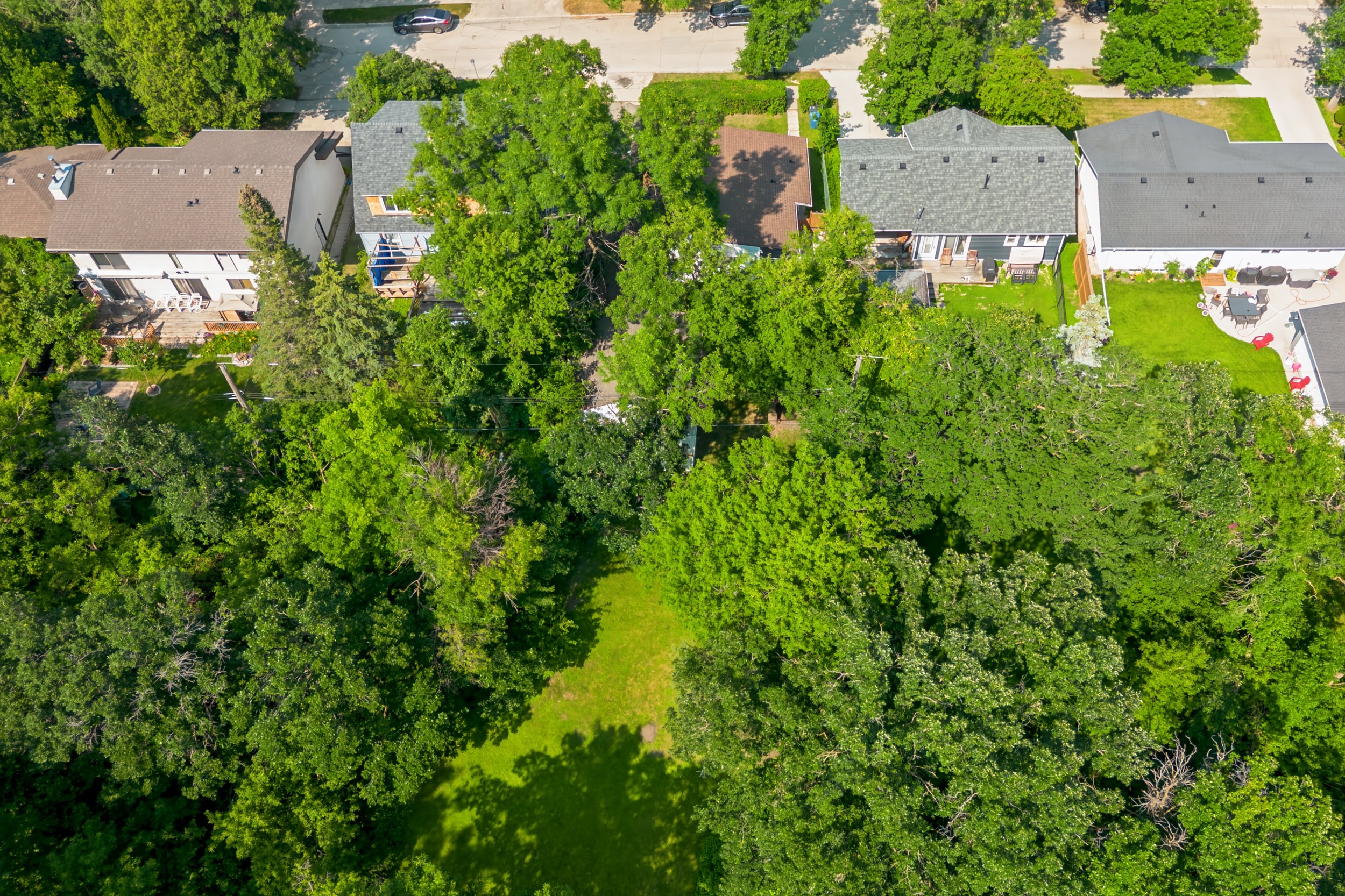 047 Park like yards in Winnipeg Manitoba.jpg