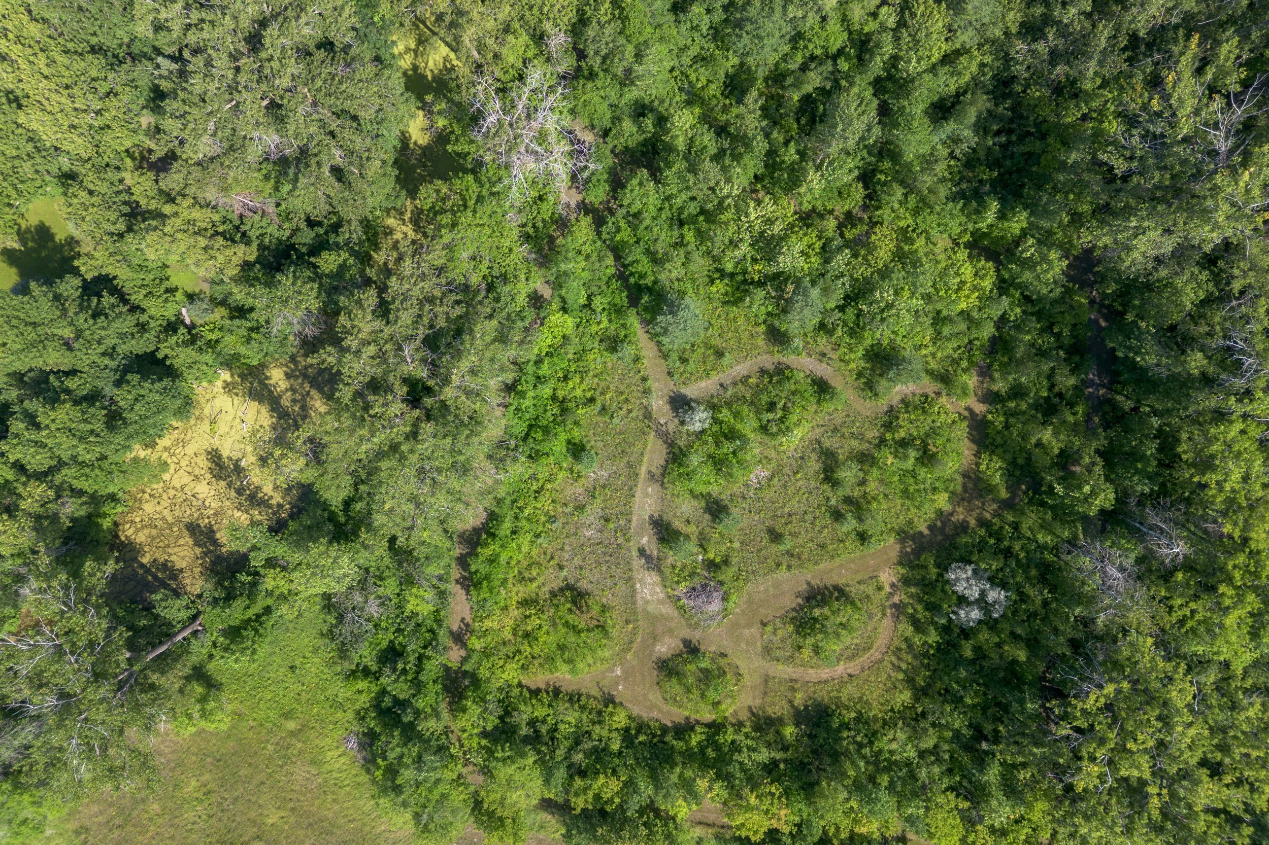 DJI_0828.jpg