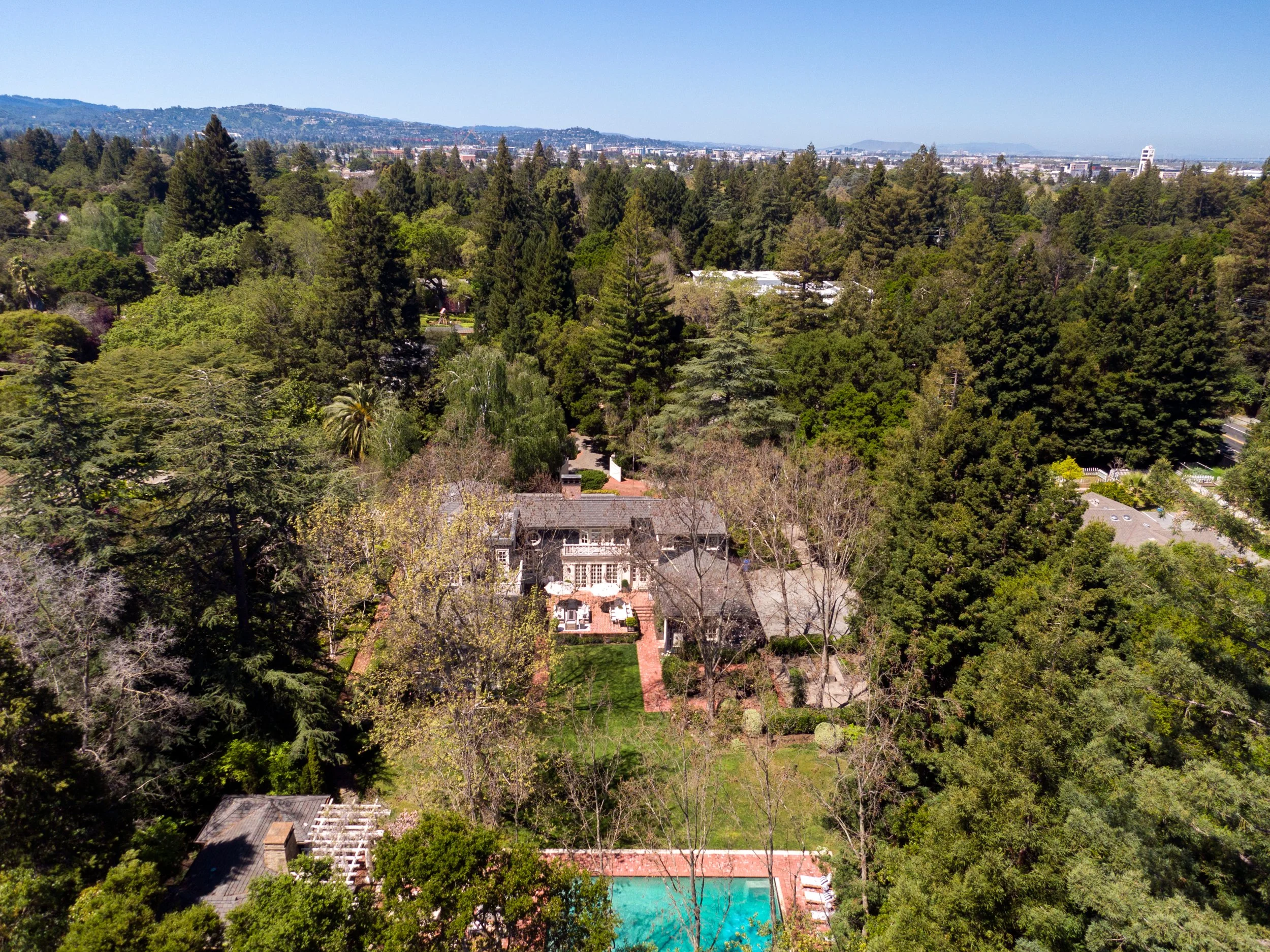 Aerial view of a residential neighborhood with tall green trees, houses, a swimming pool, and a distant city skyline under a clear blue sky.