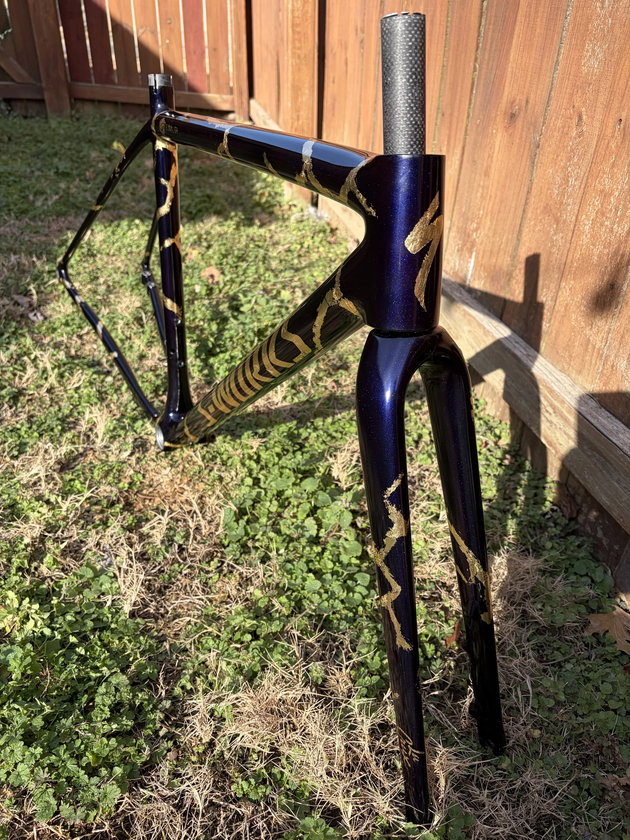 Custom Painted Specialized Crux