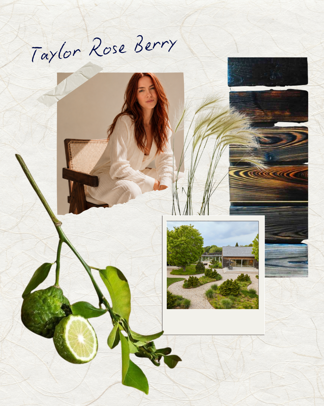 Be Our Guest Vol. 4 | Taylor Rose Berry of Shou Sugi Ban House