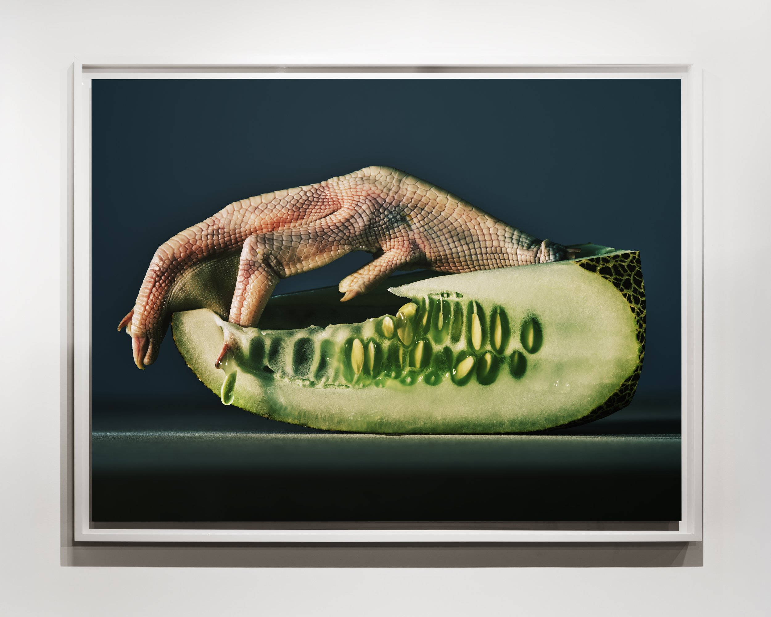 32.25 x 24 inches (framed), Archival Pigment Print