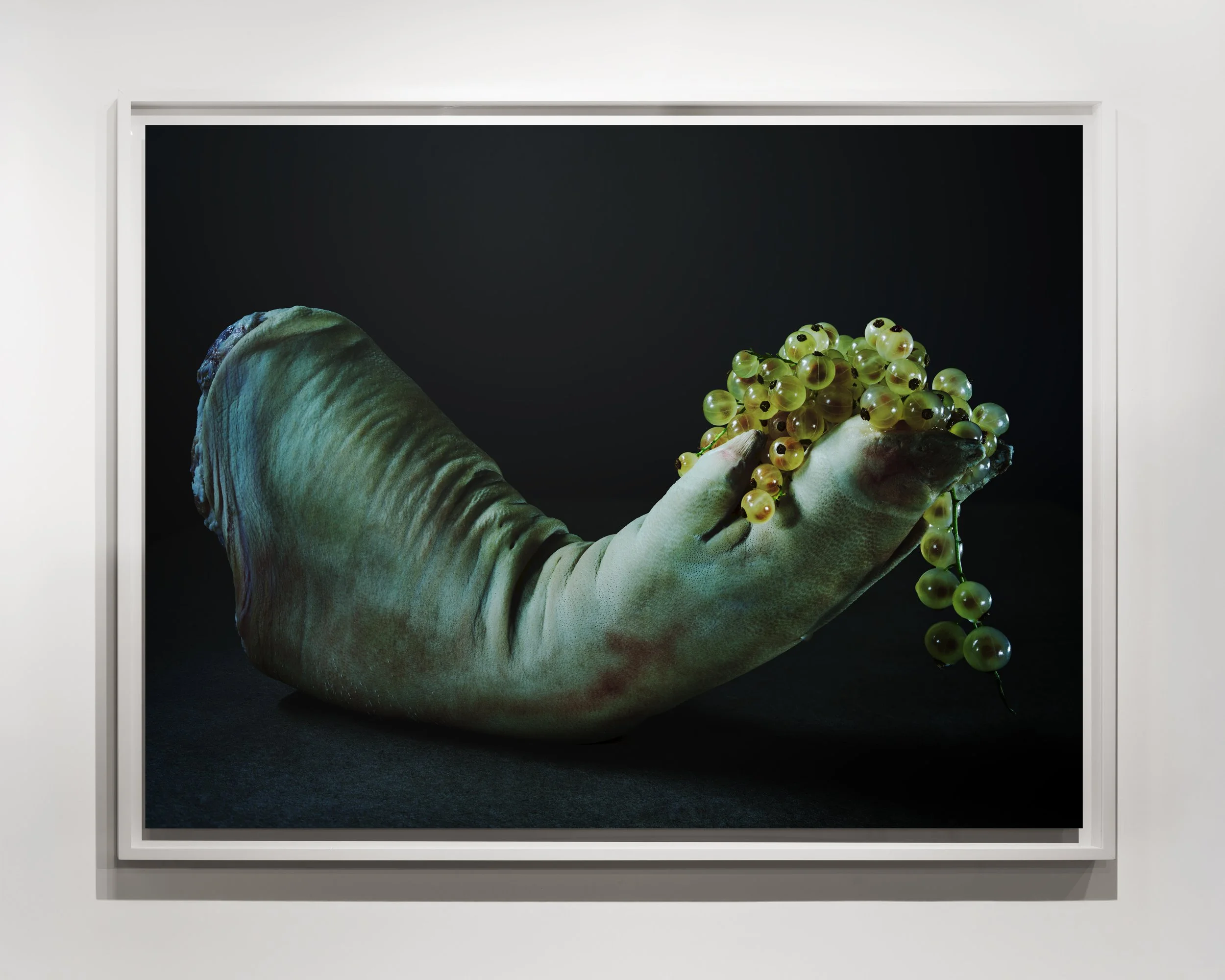 32.25 x 24 inches (framed), Archival Pigment Print