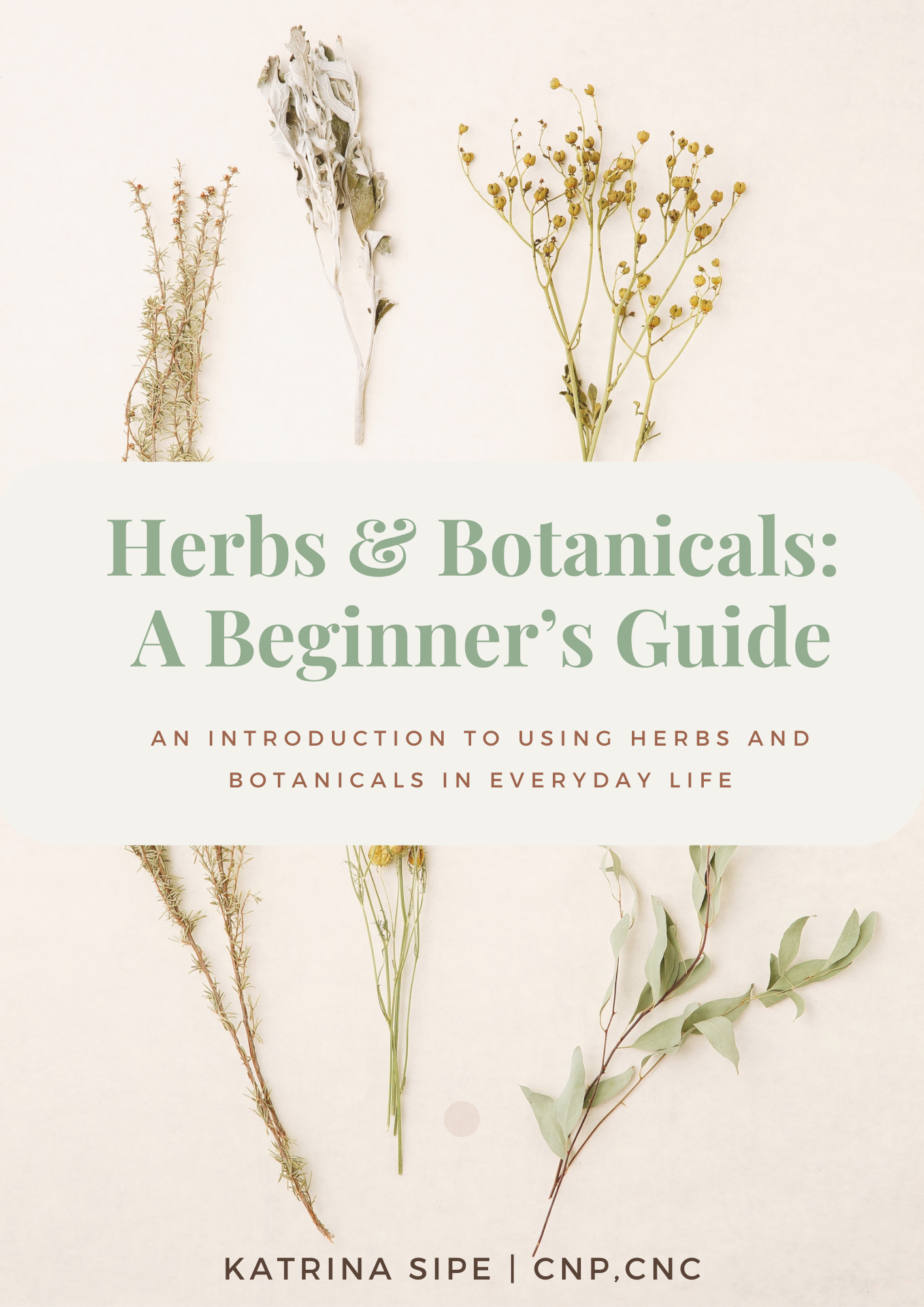 Herbs & Botanicals: A Beginner's Guide