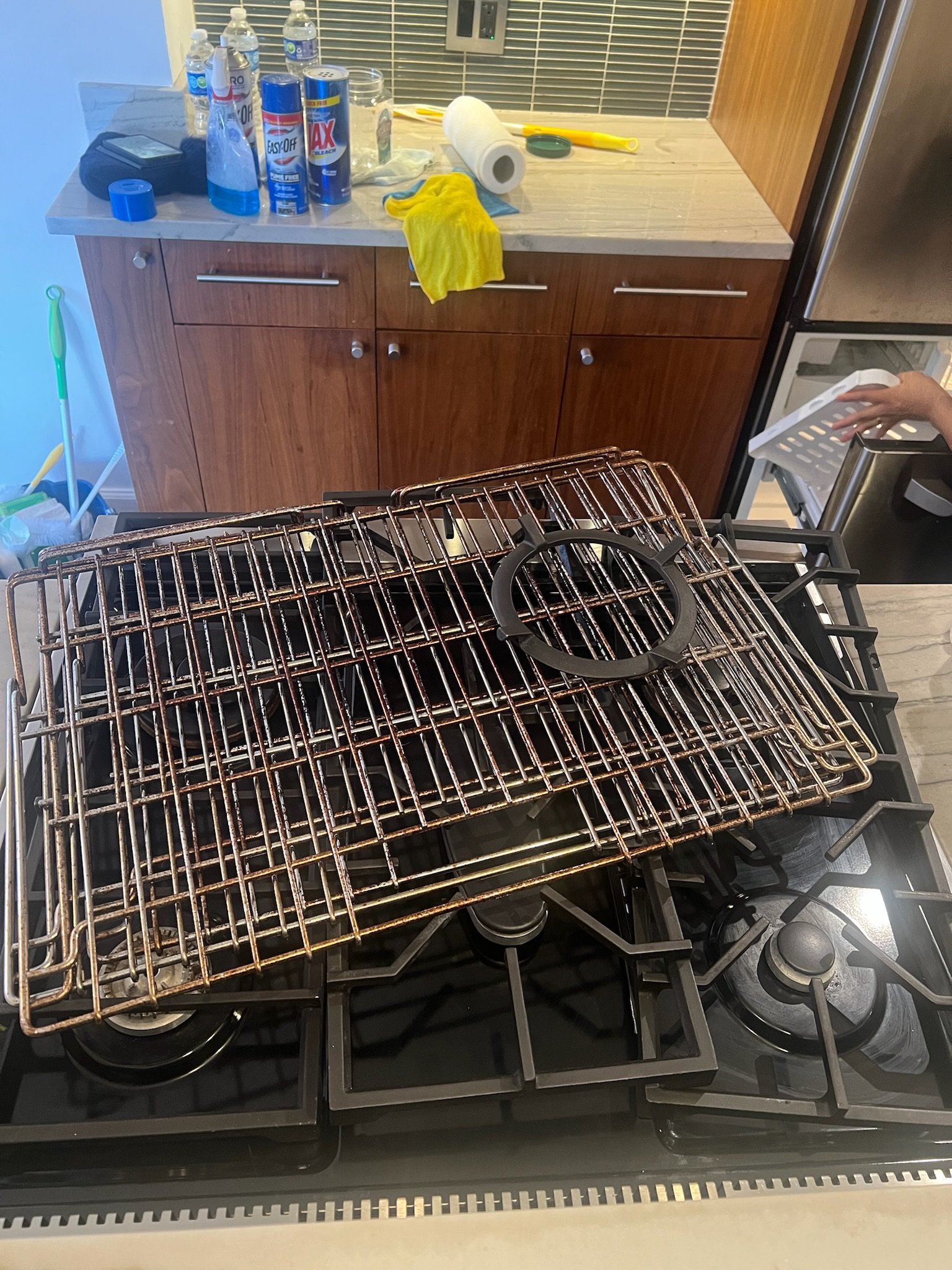 Stove grates soaked and scrubbed to restore shine. Cooking surfaces ready for use. Taken on the Upper East Side (UES).