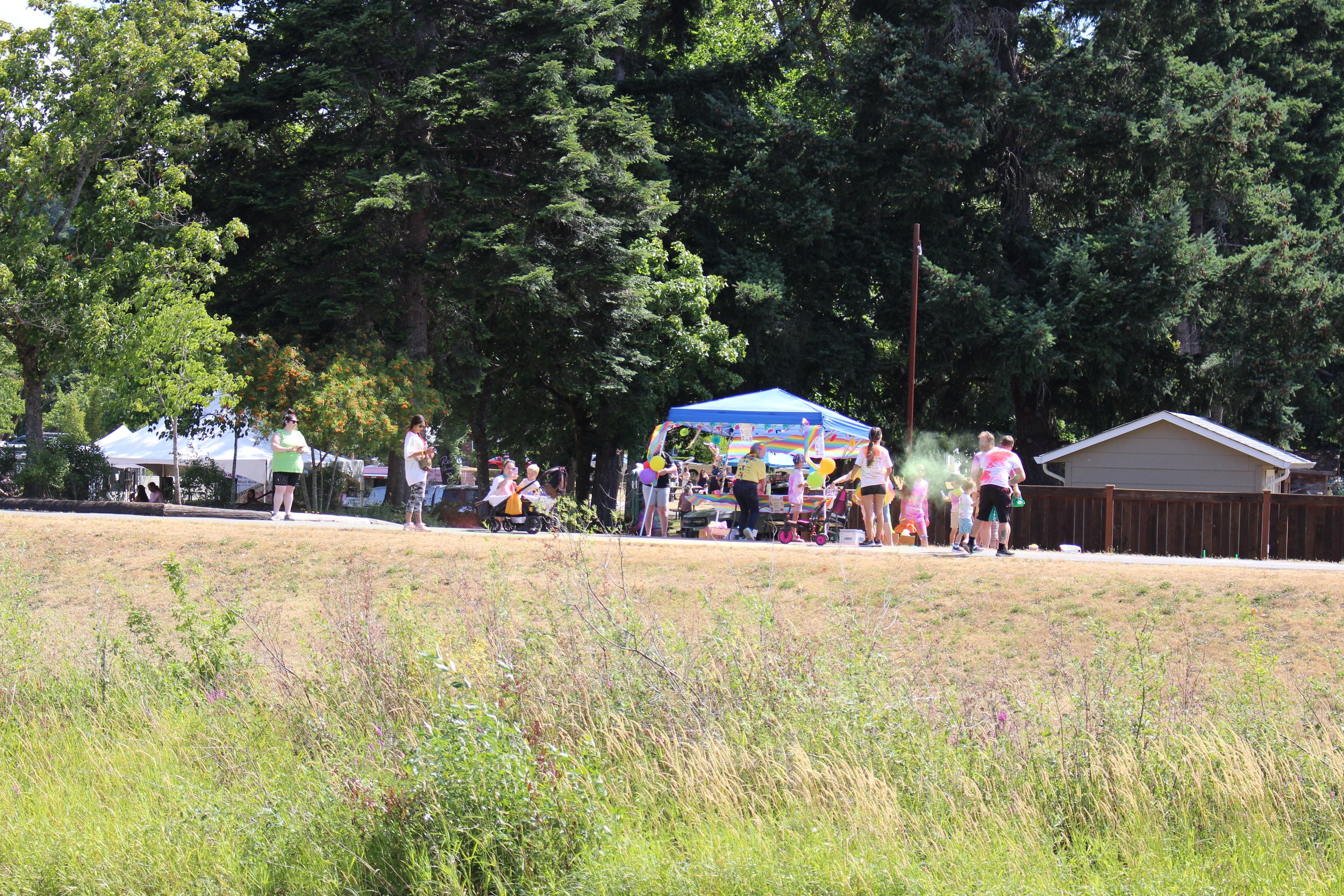 A gathering of people at a park with tents, balloons, and trees in the background.