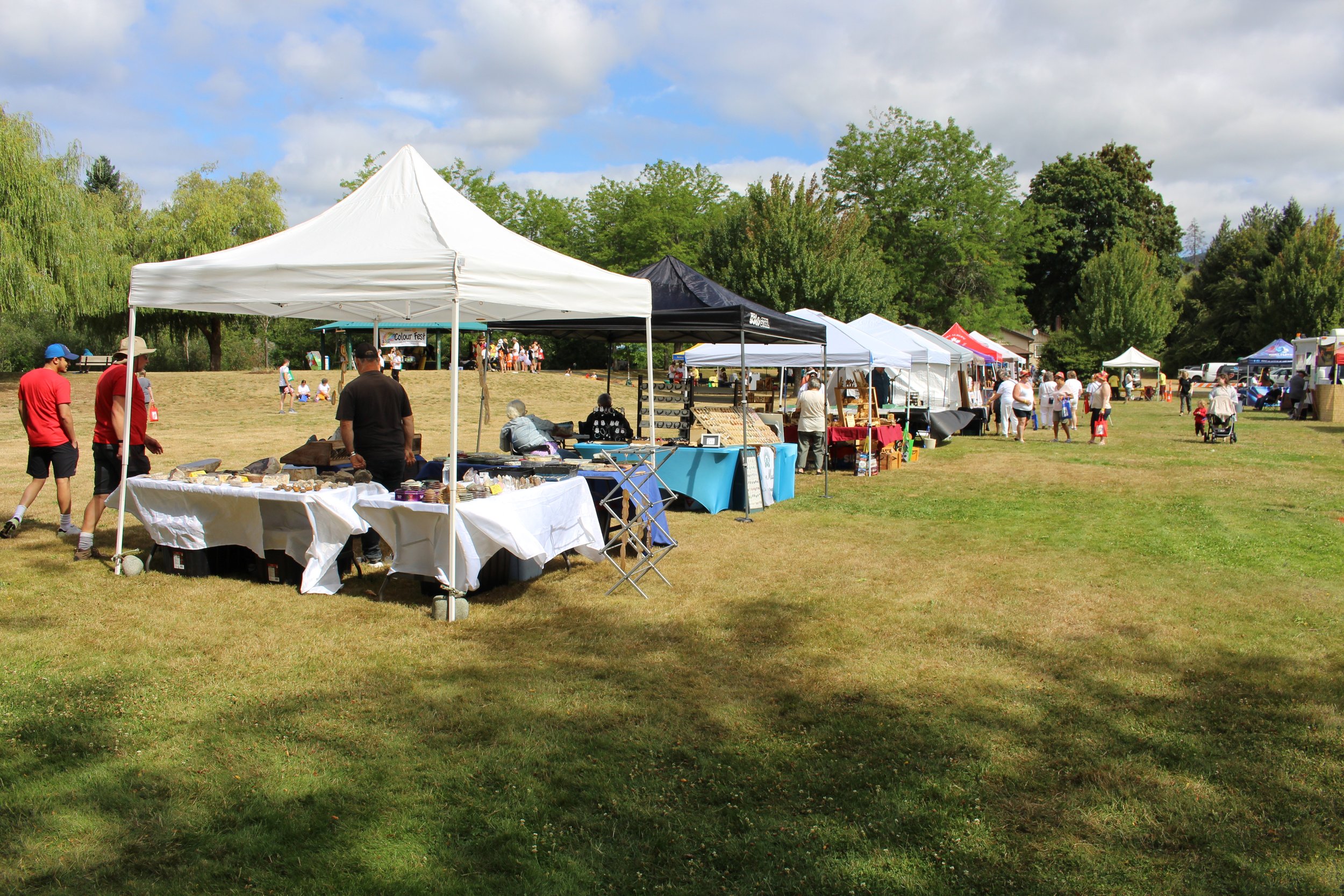 Outdoor market with vendor tents and people browsing on a grassy field under partly cloudy skies, surrounded by green trees.